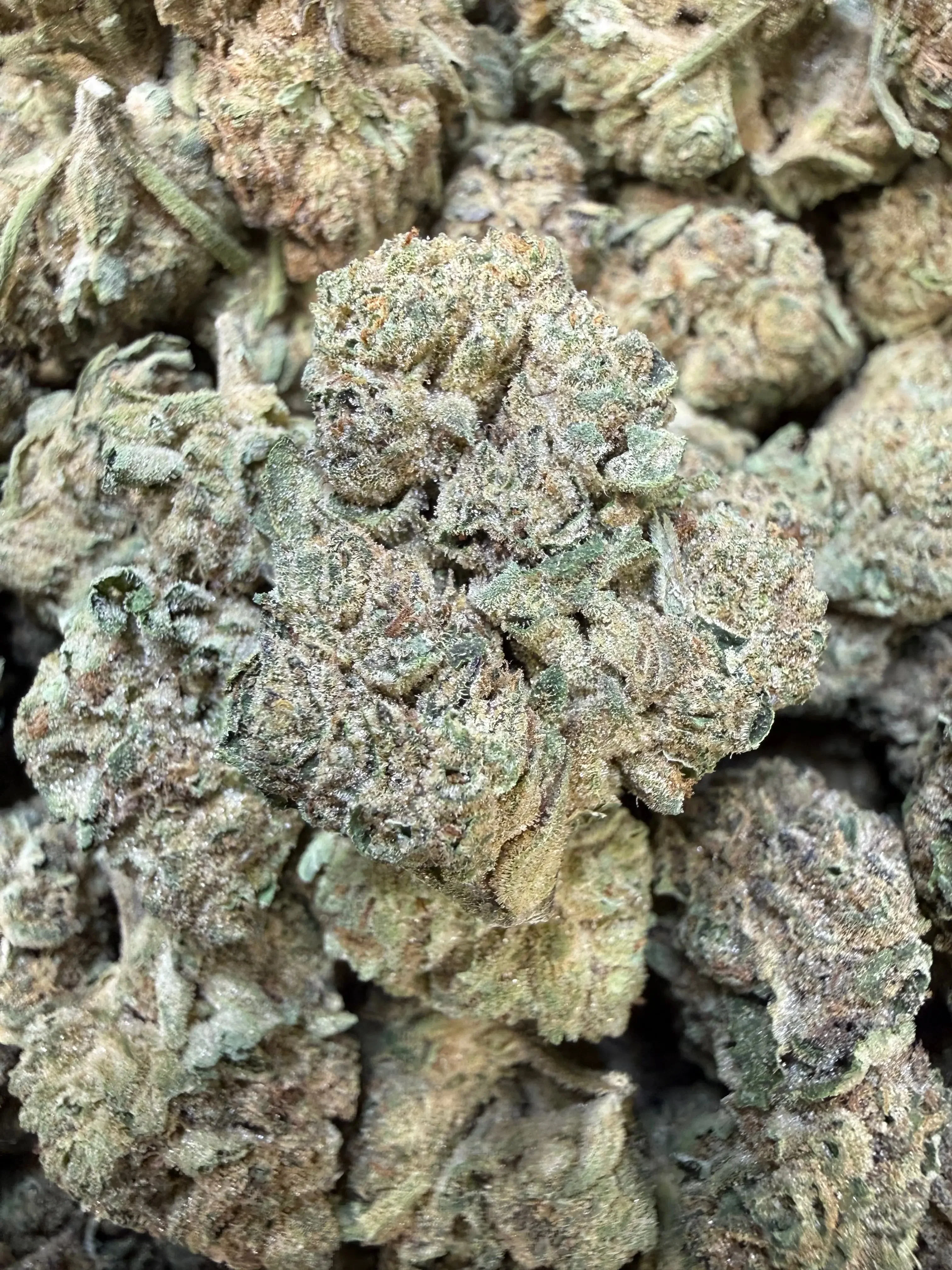 1 Pound - Cyro Cookies THCA Strain - Image 3