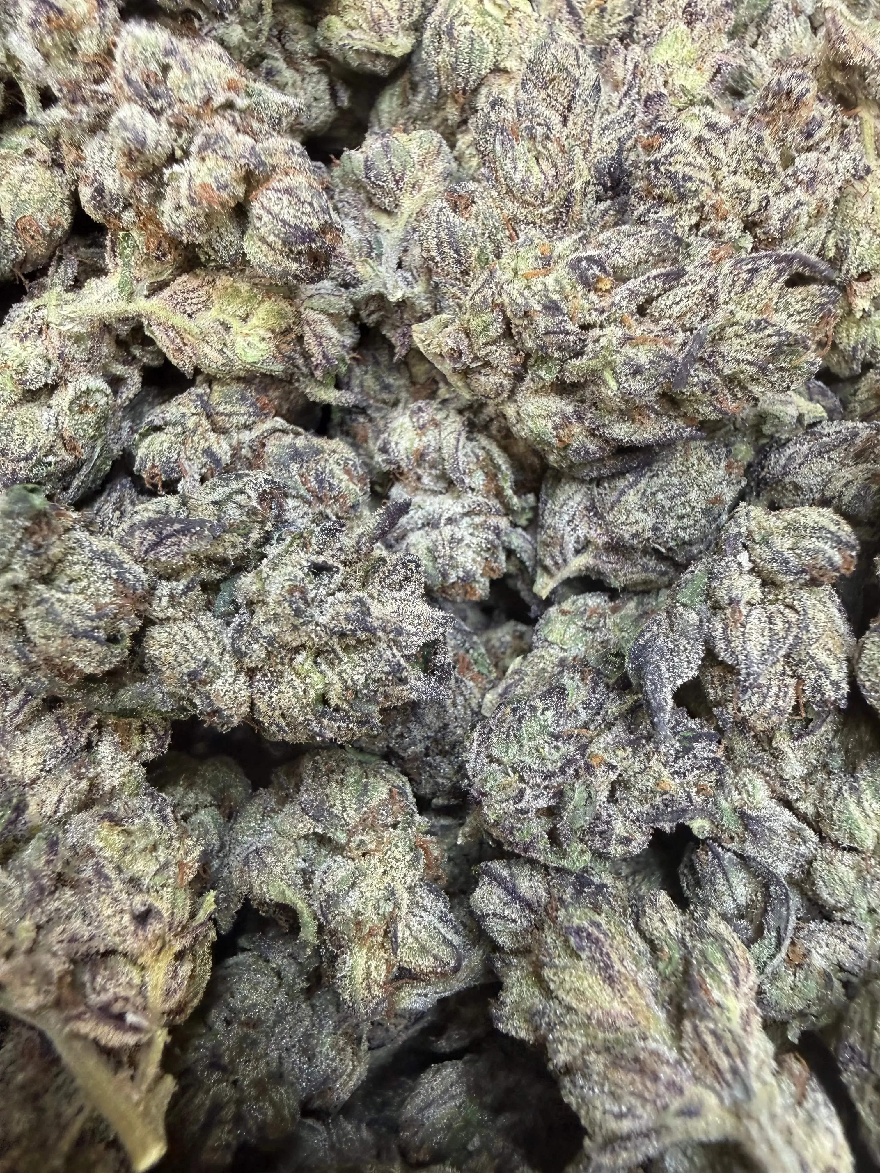 1 Pound - Deep Freeze THCA Strain - Image 2