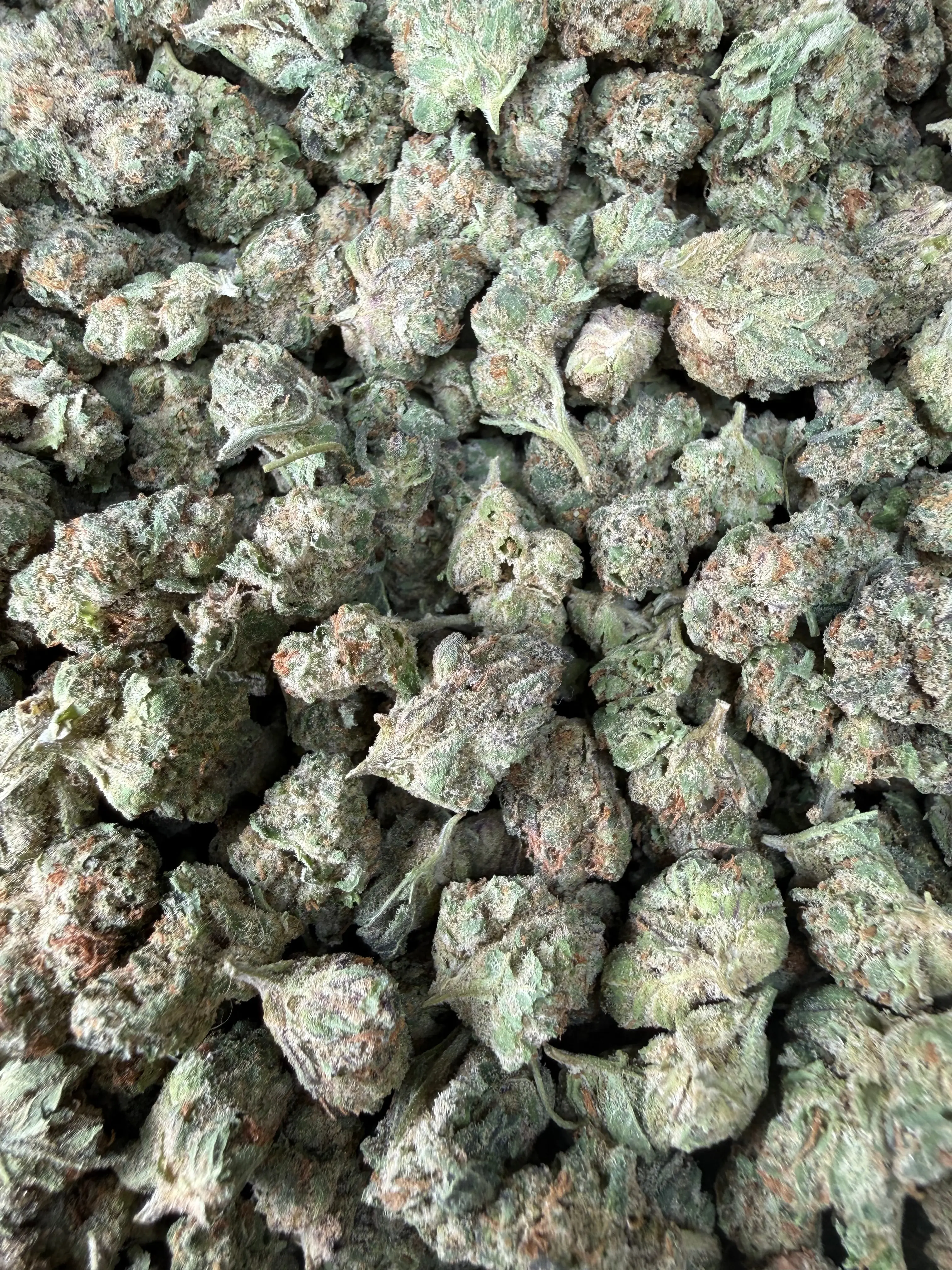 1 Pound - Electrolime THCA Strain (Smalls) - Image 4