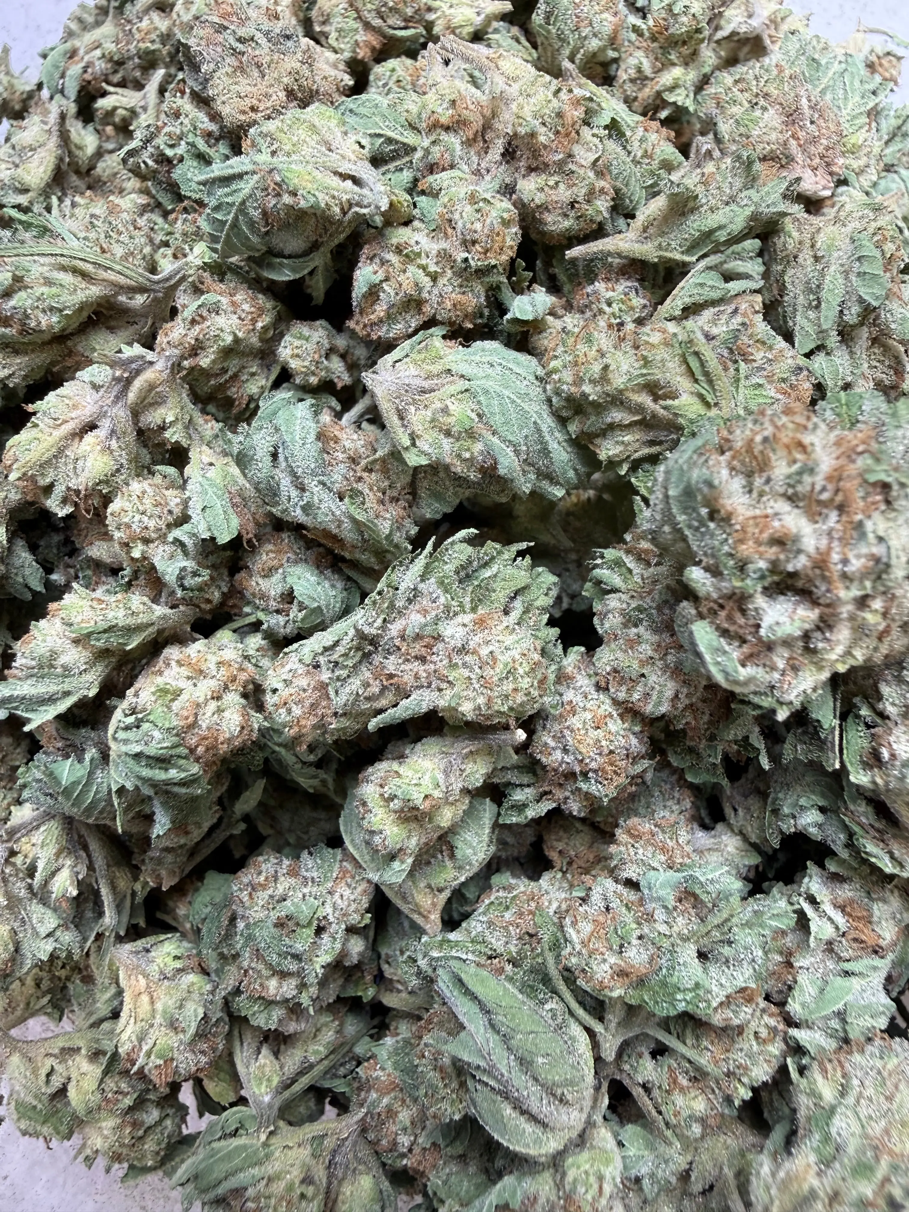 1 Pound - F1 Durb THCA Strain (Small) - Image 3