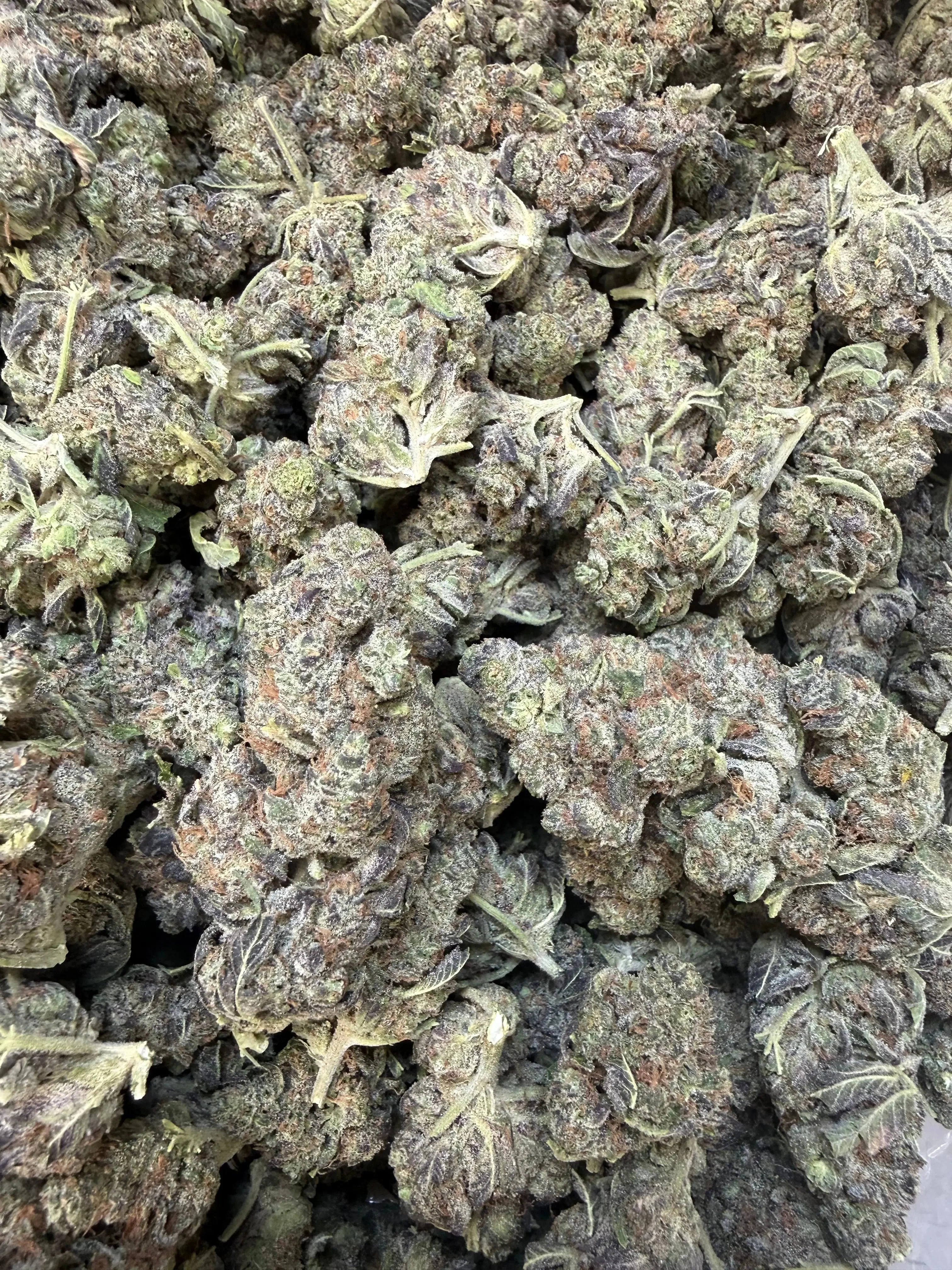 1 Pound - Federal Frost THCA Flower - Image 6