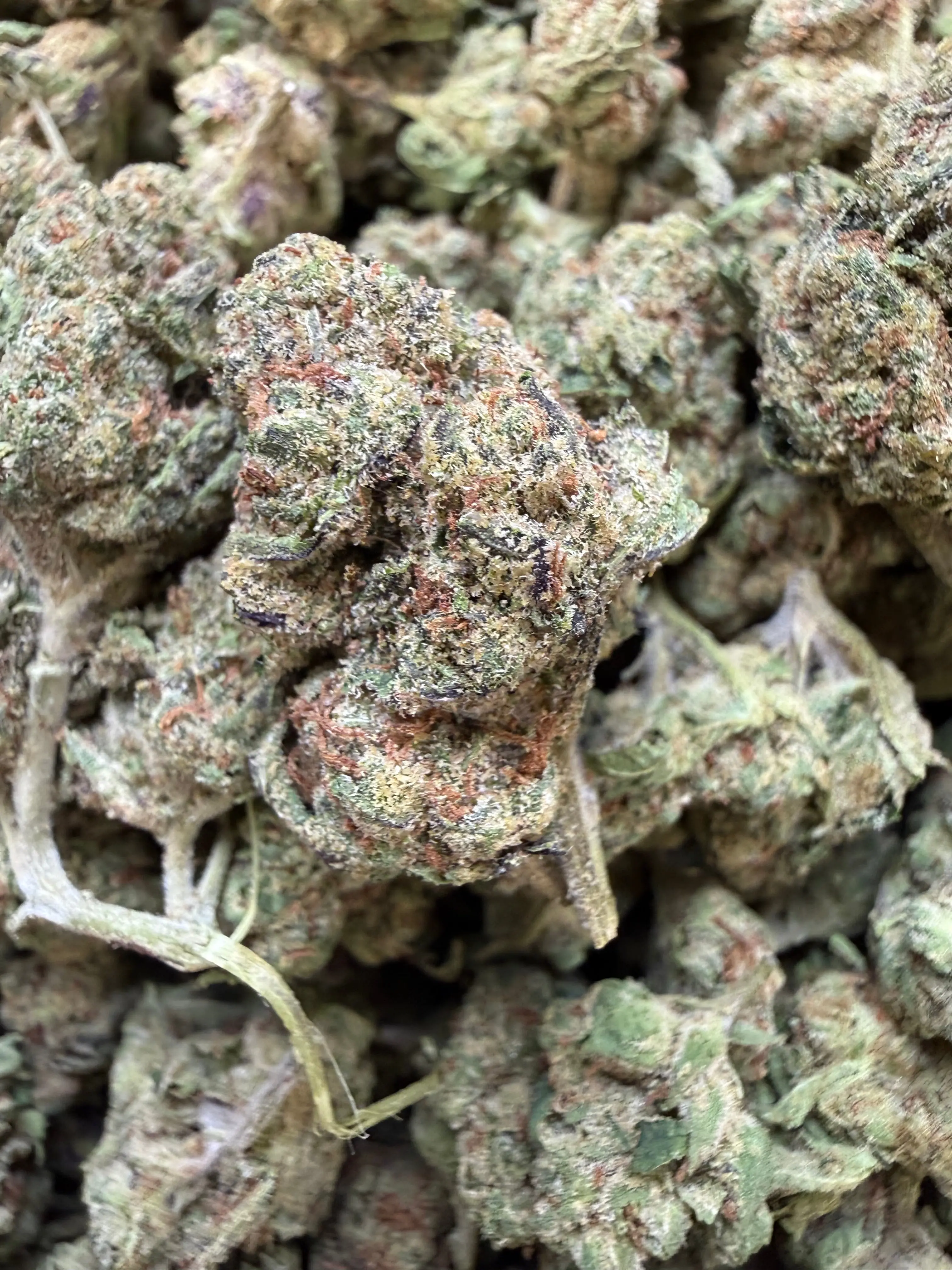 1 Pound - Frozen Lemons THCA Flower