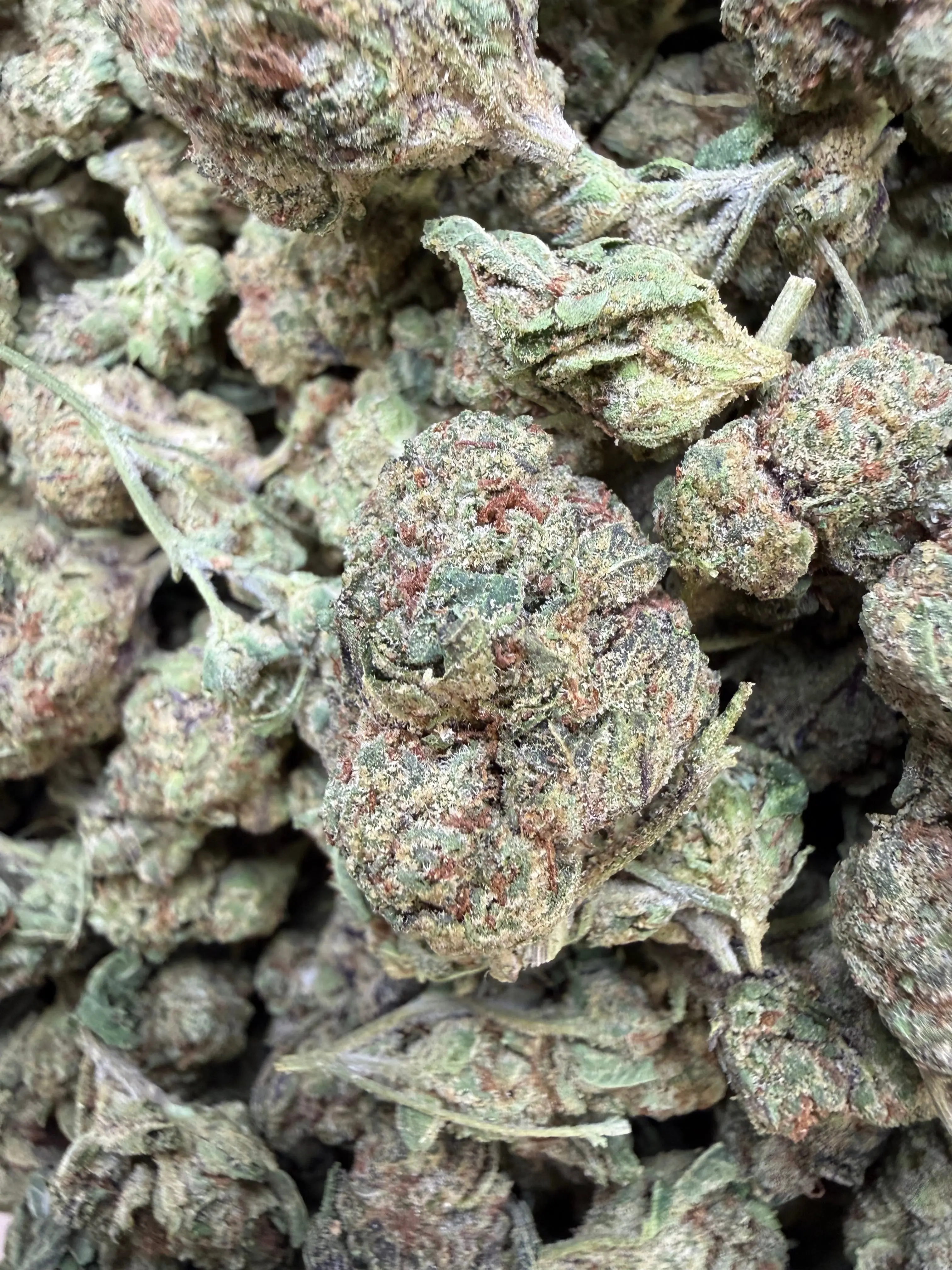 1 Pound - Frozen Lemons THCA Flower - Image 2