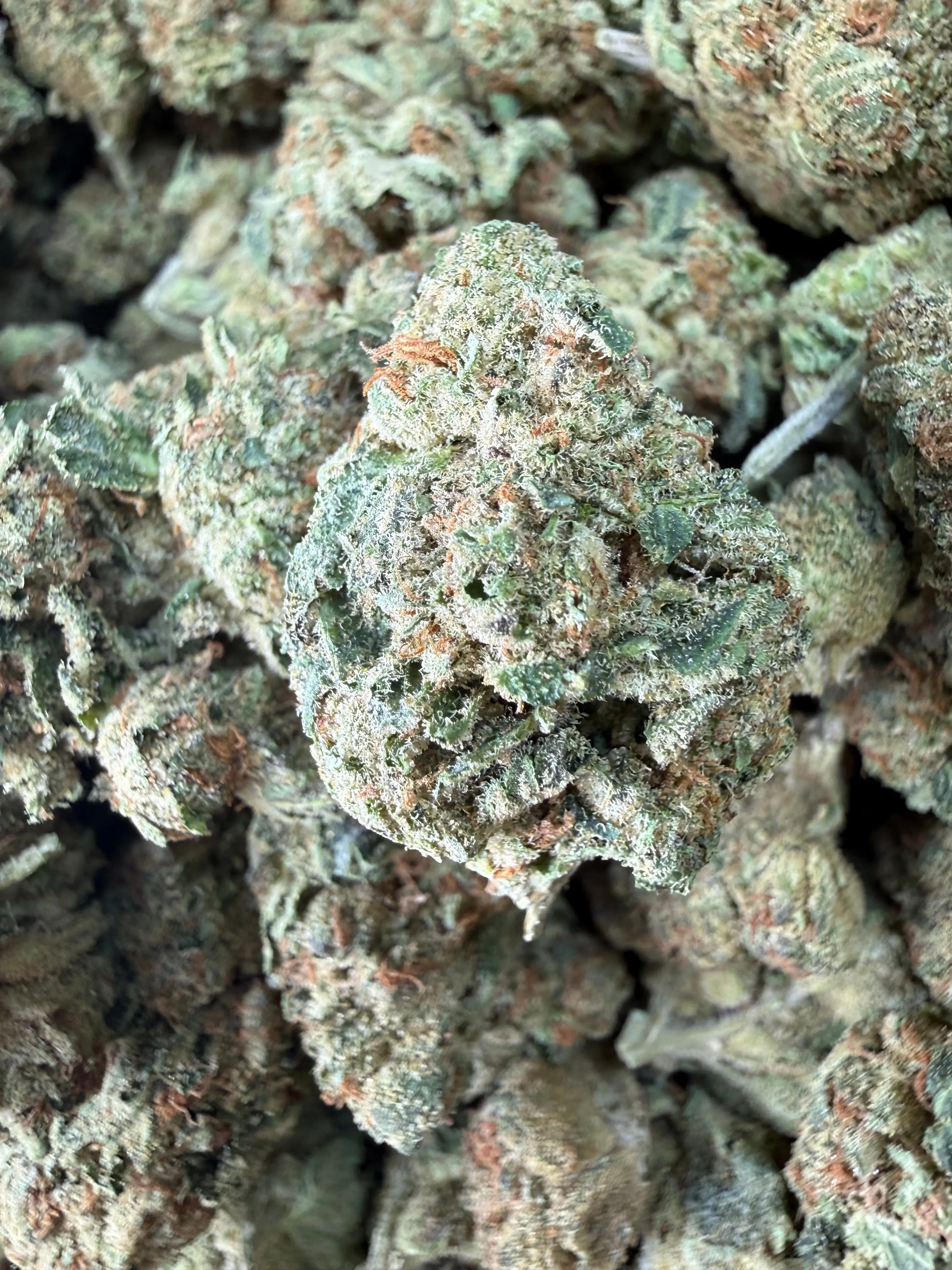 1 Pound - Fruity Pebbles OG THCA Flower