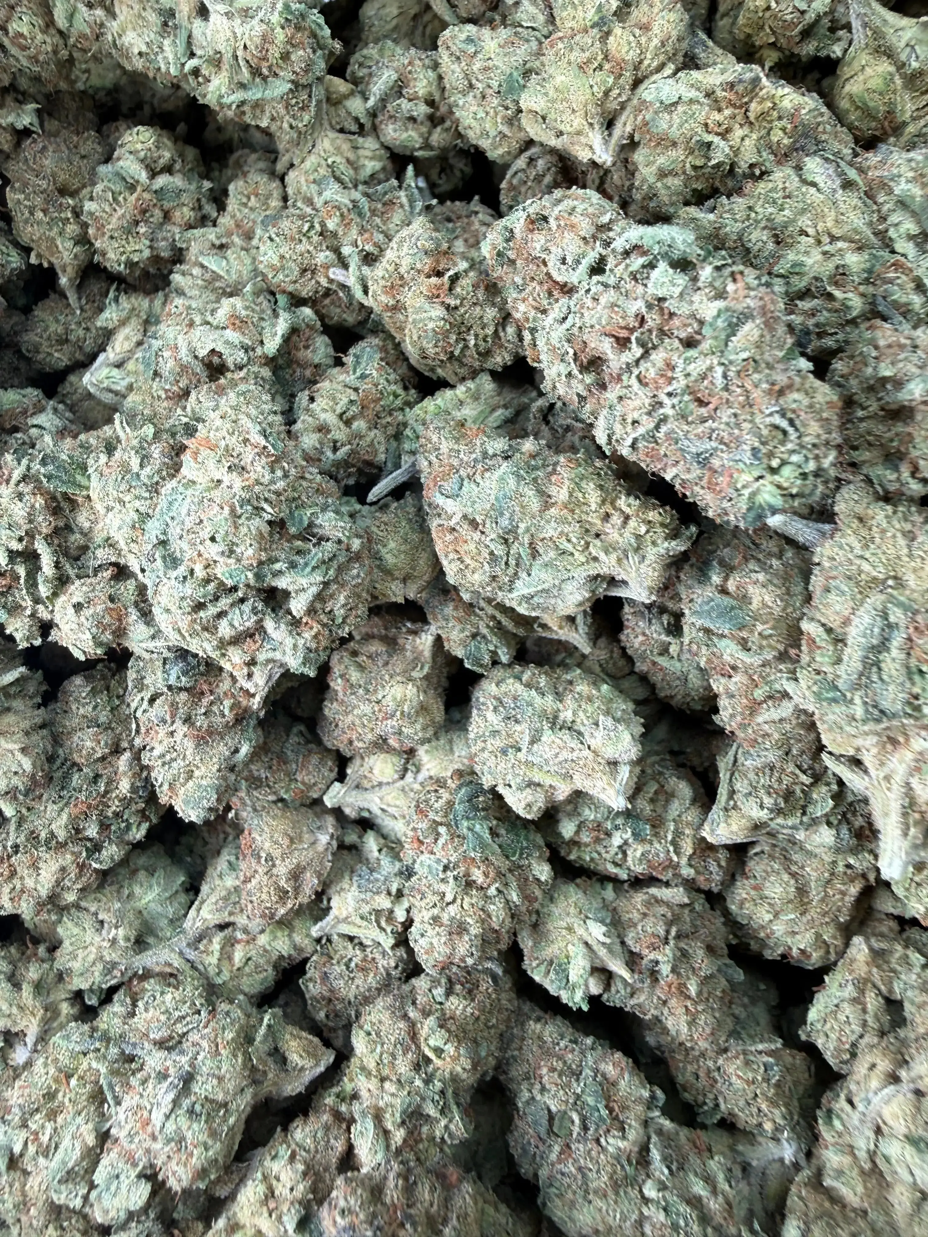 1 Pound - Fruity Pebbles OG THCA Flower - Image 3