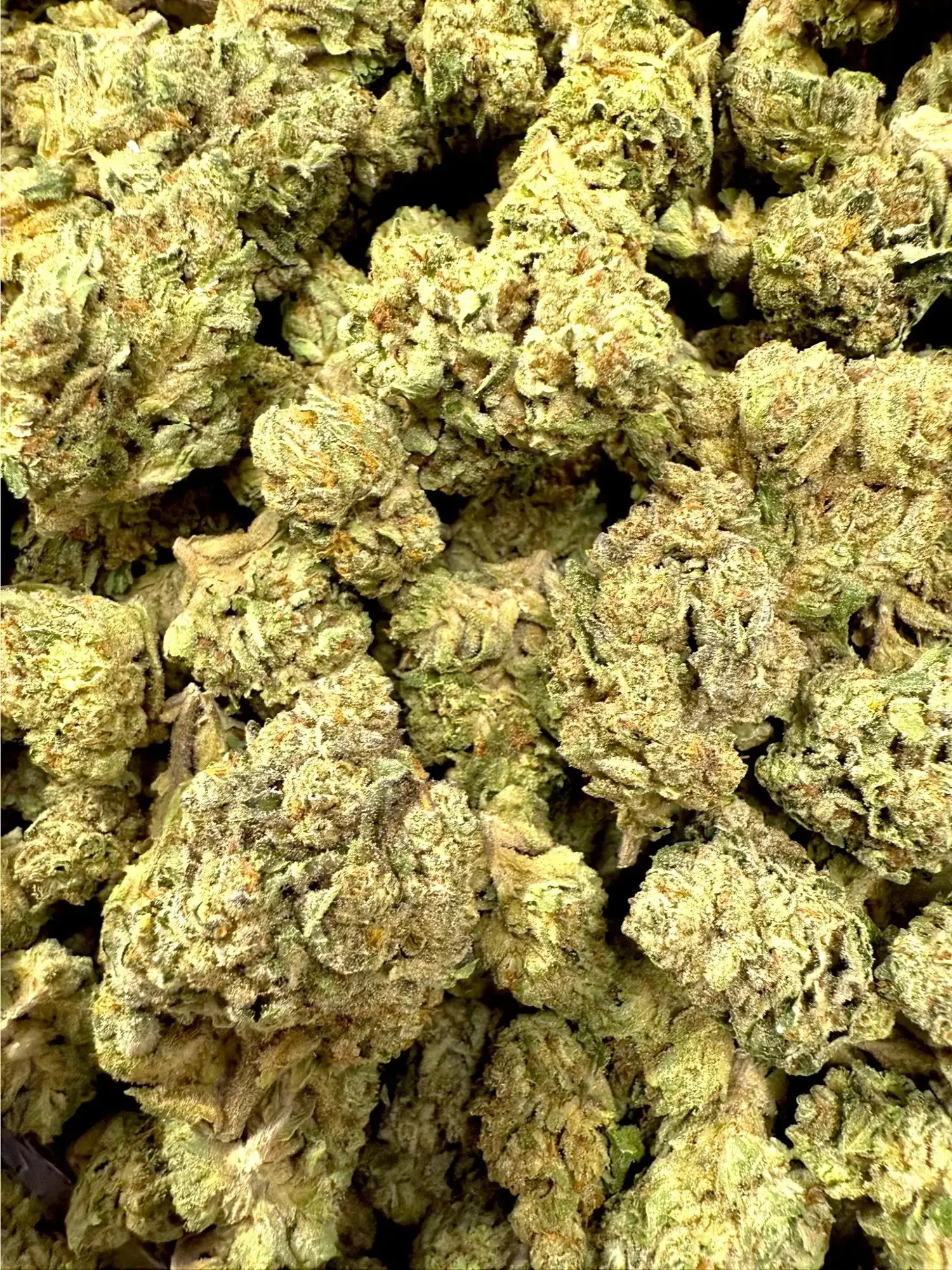 1 Pound - Grease Monkey Strain THCA - Image 3