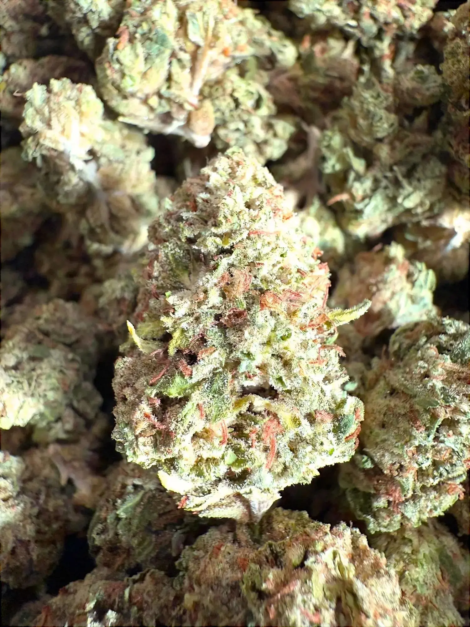 Frisco Labs - Holy Grail OG Strain THCA - Image 2