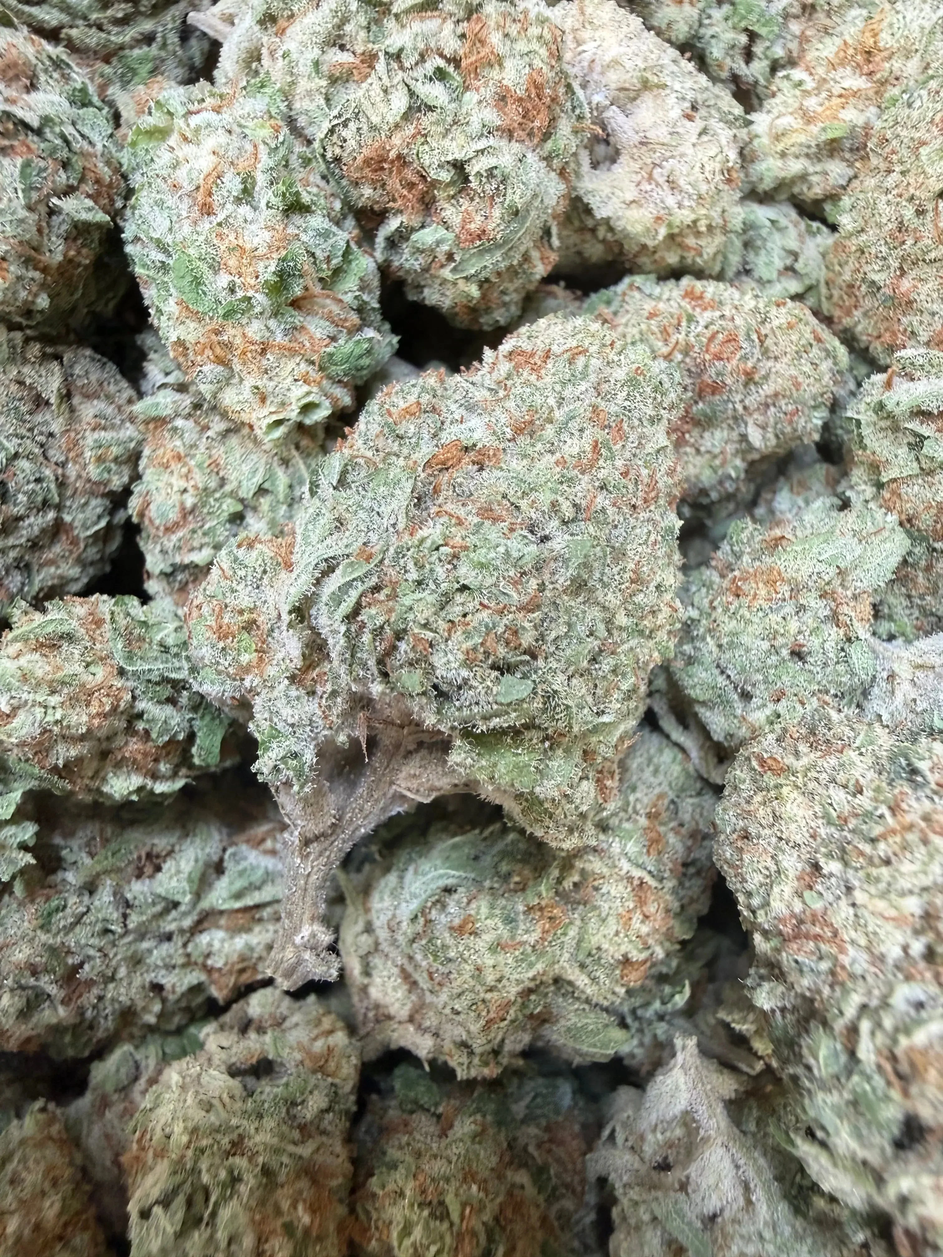 1 Pound -  Jungle Juice THCA Flower - Image 2