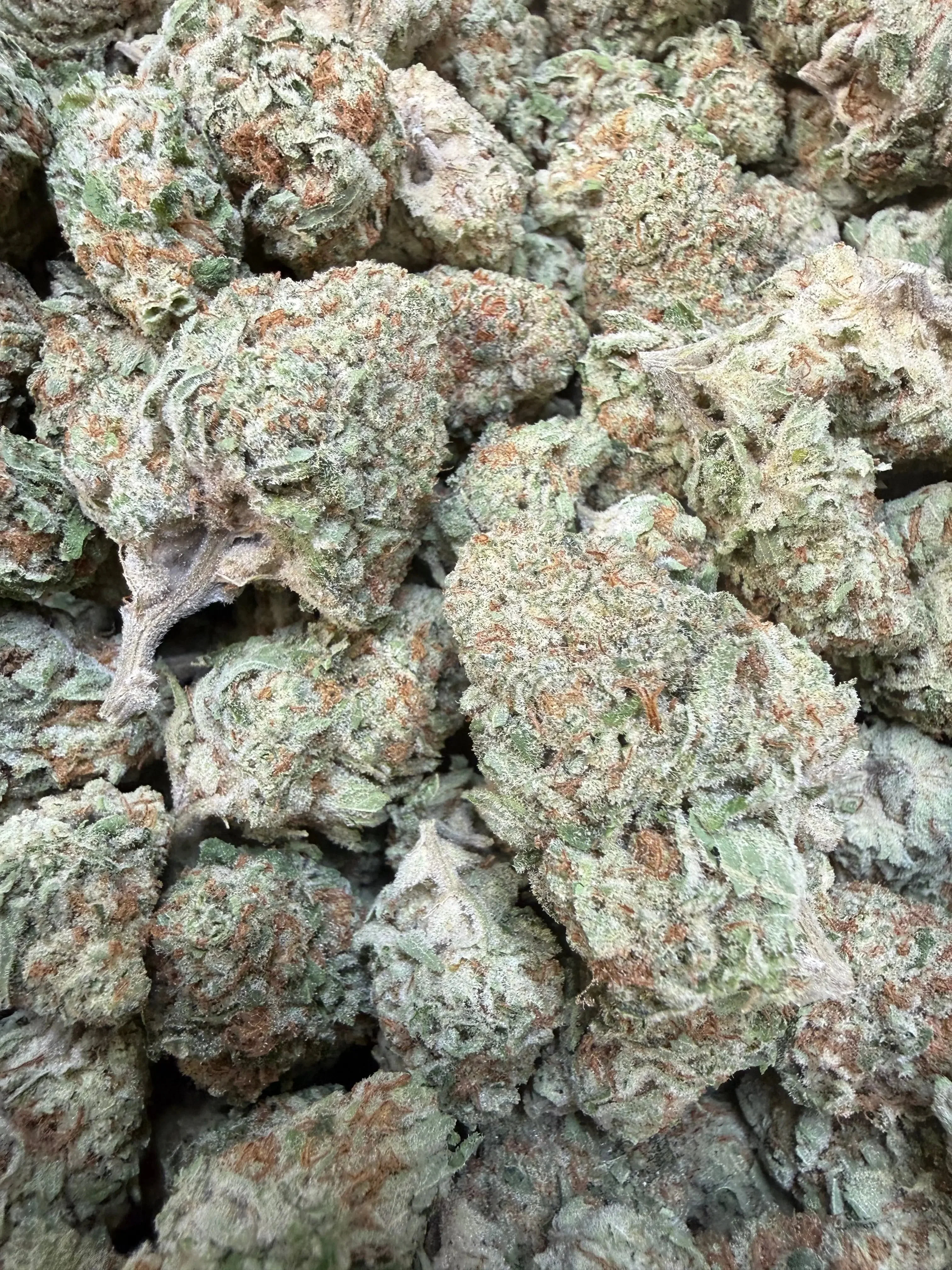 1 Pound -  Jungle Juice THCA Flower - Image 3