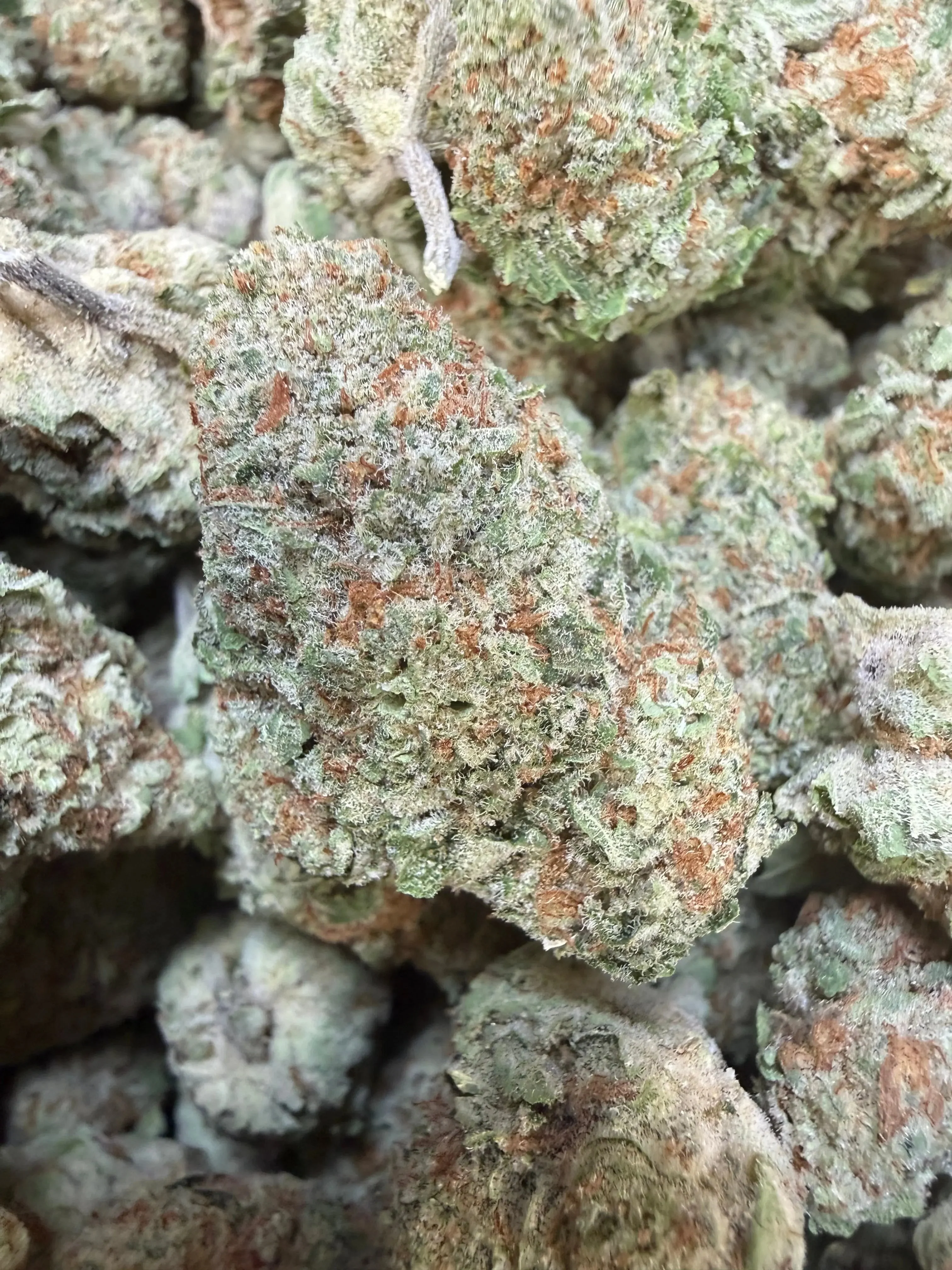 1 Pound -  Jungle Juice THCA Flower - Image 4