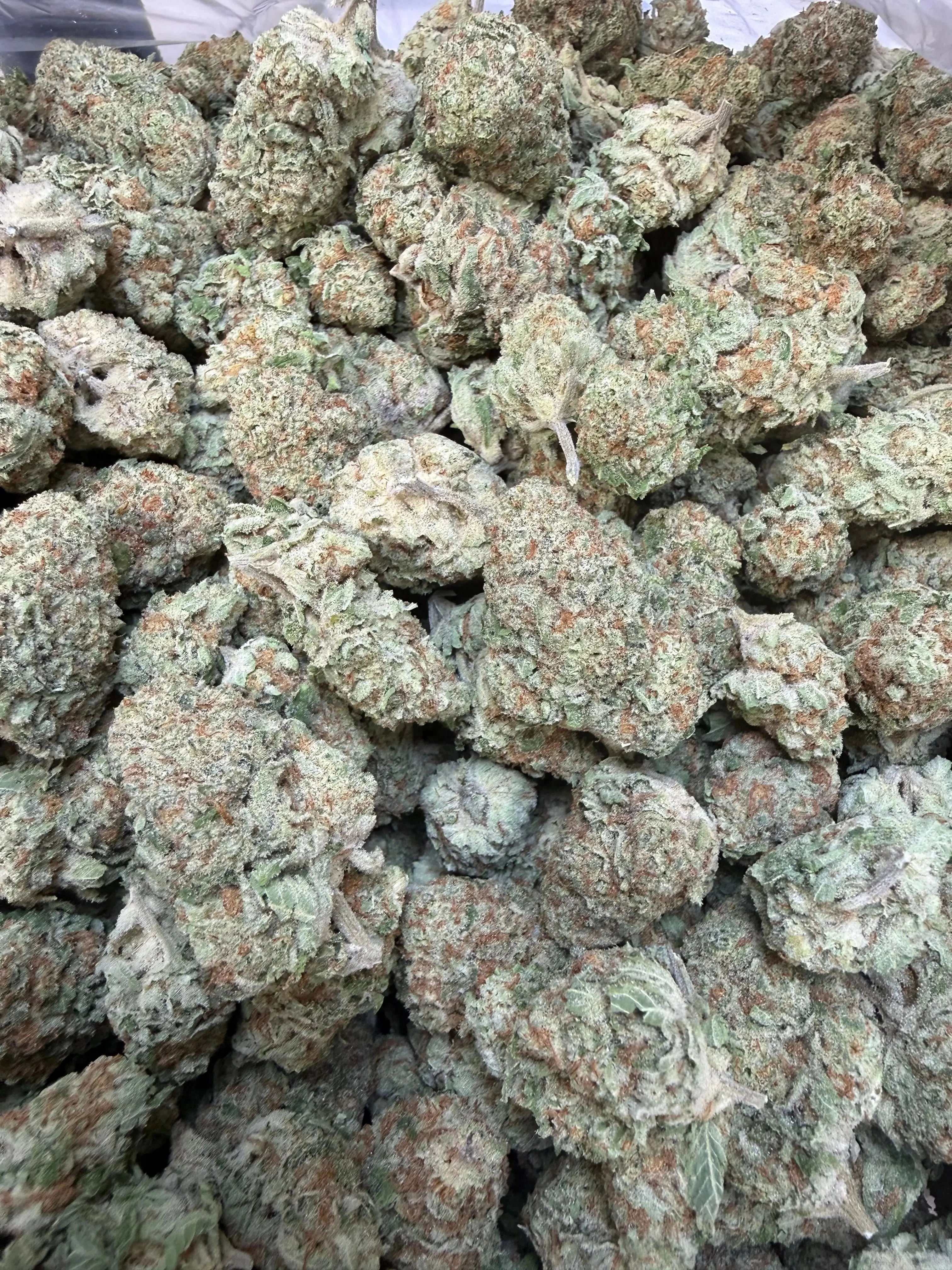 1 Pound -  Jungle Juice THCA Flower - Image 5