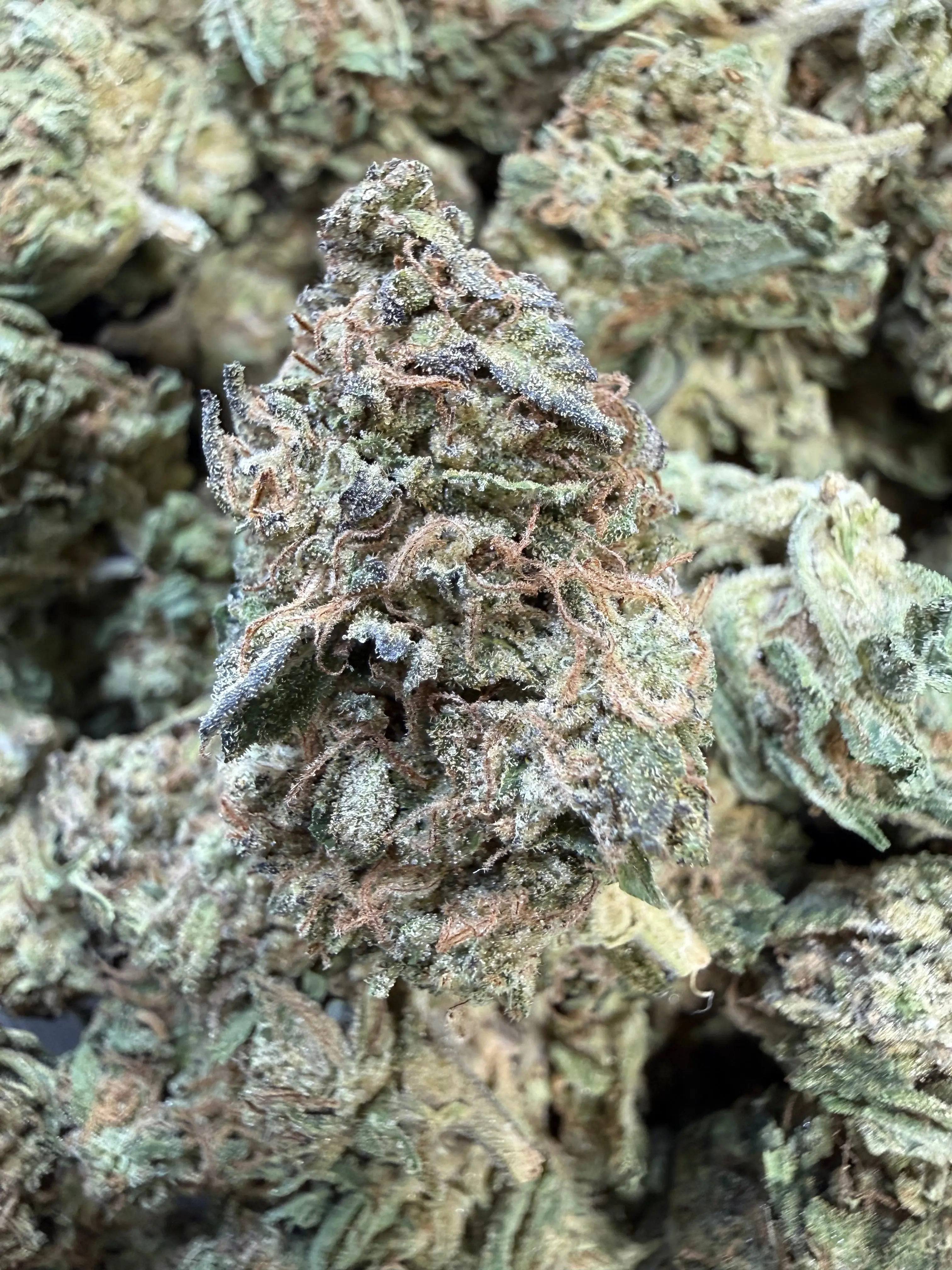 1 Pound - King Kong Kush THCA Flower - Image 2
