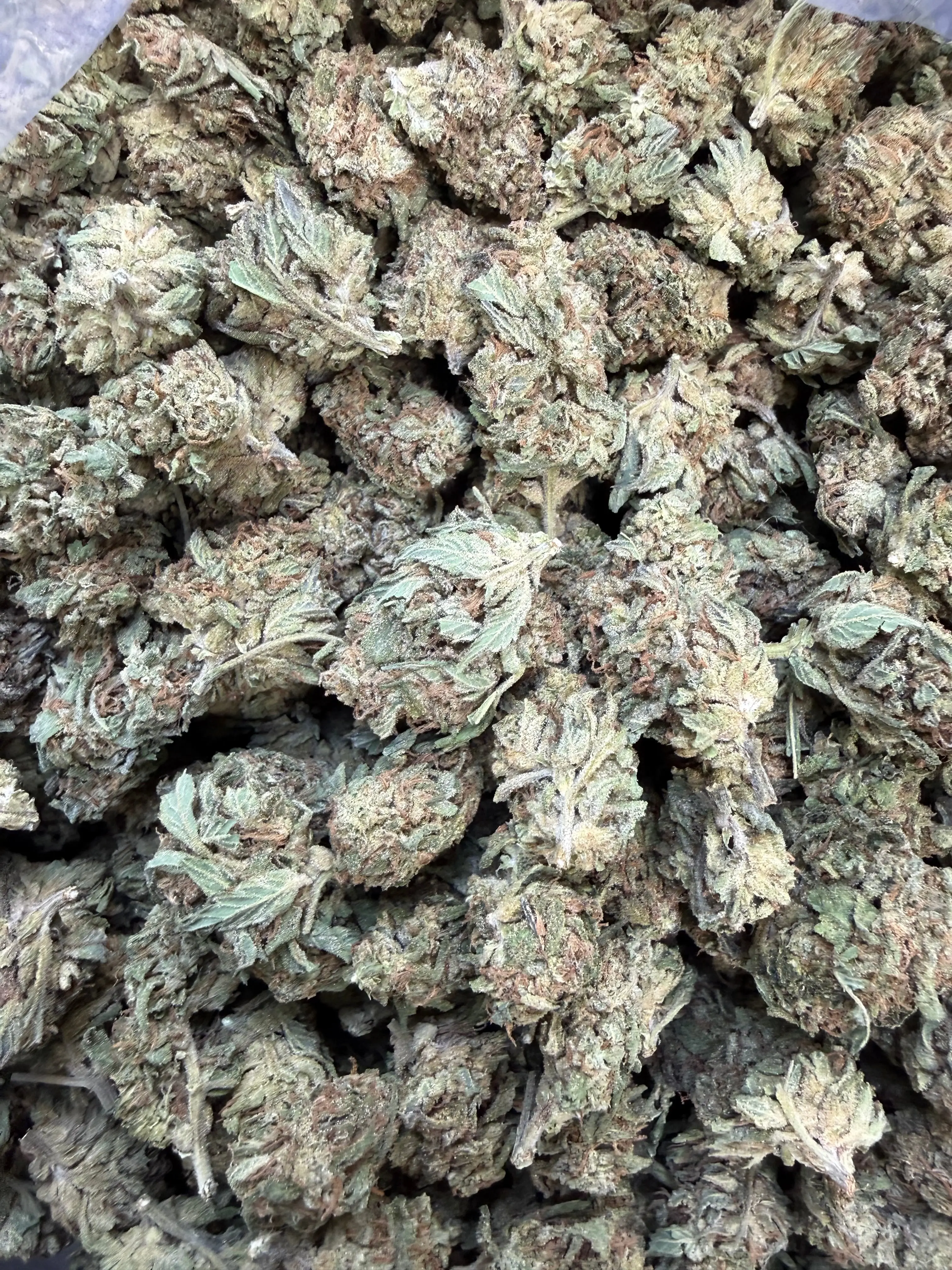 1 Pound - King Kong Kush THCA Flower - Image 4