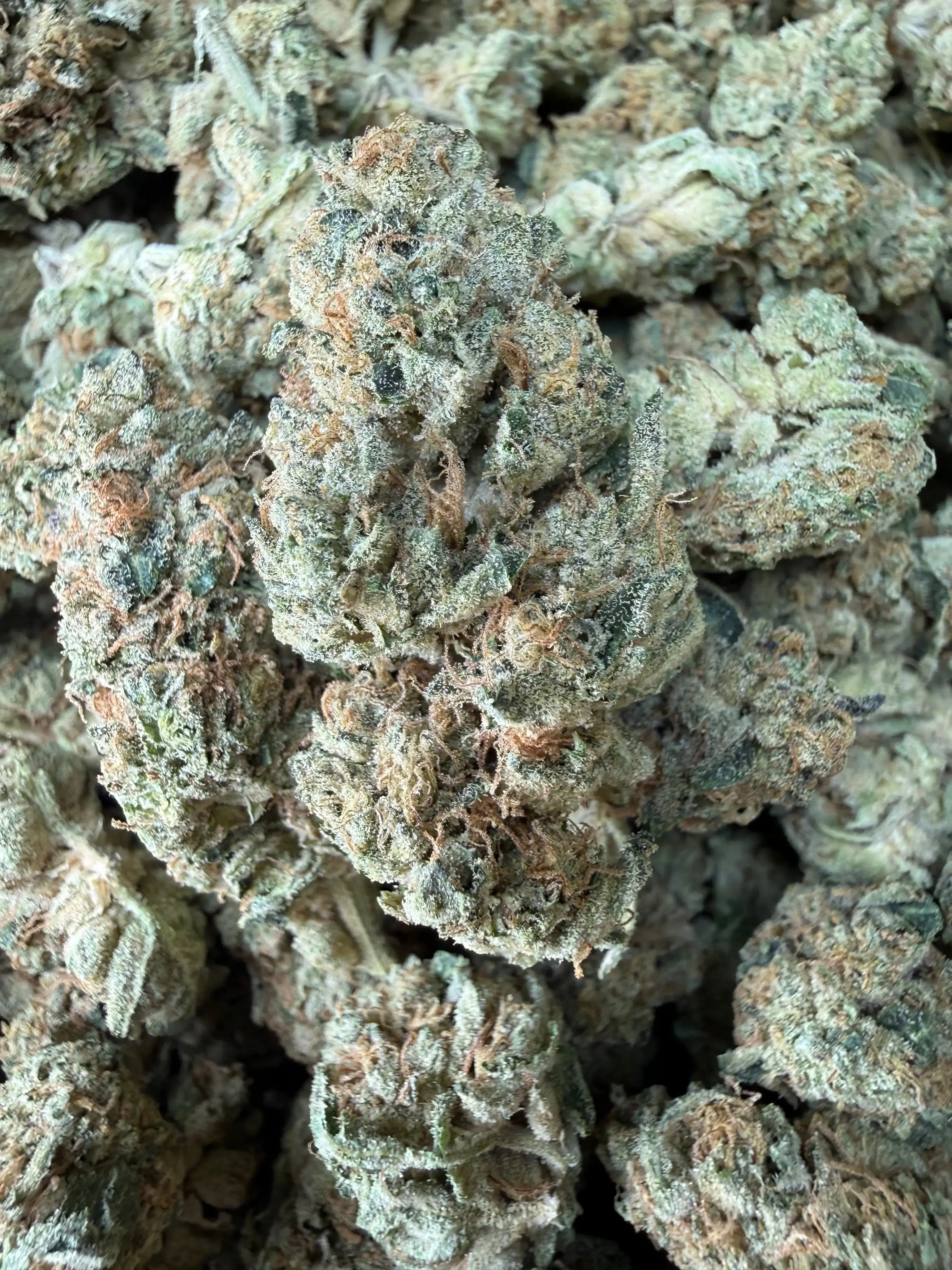 1 Pound - LA Confidential THCA Flower - Image 2