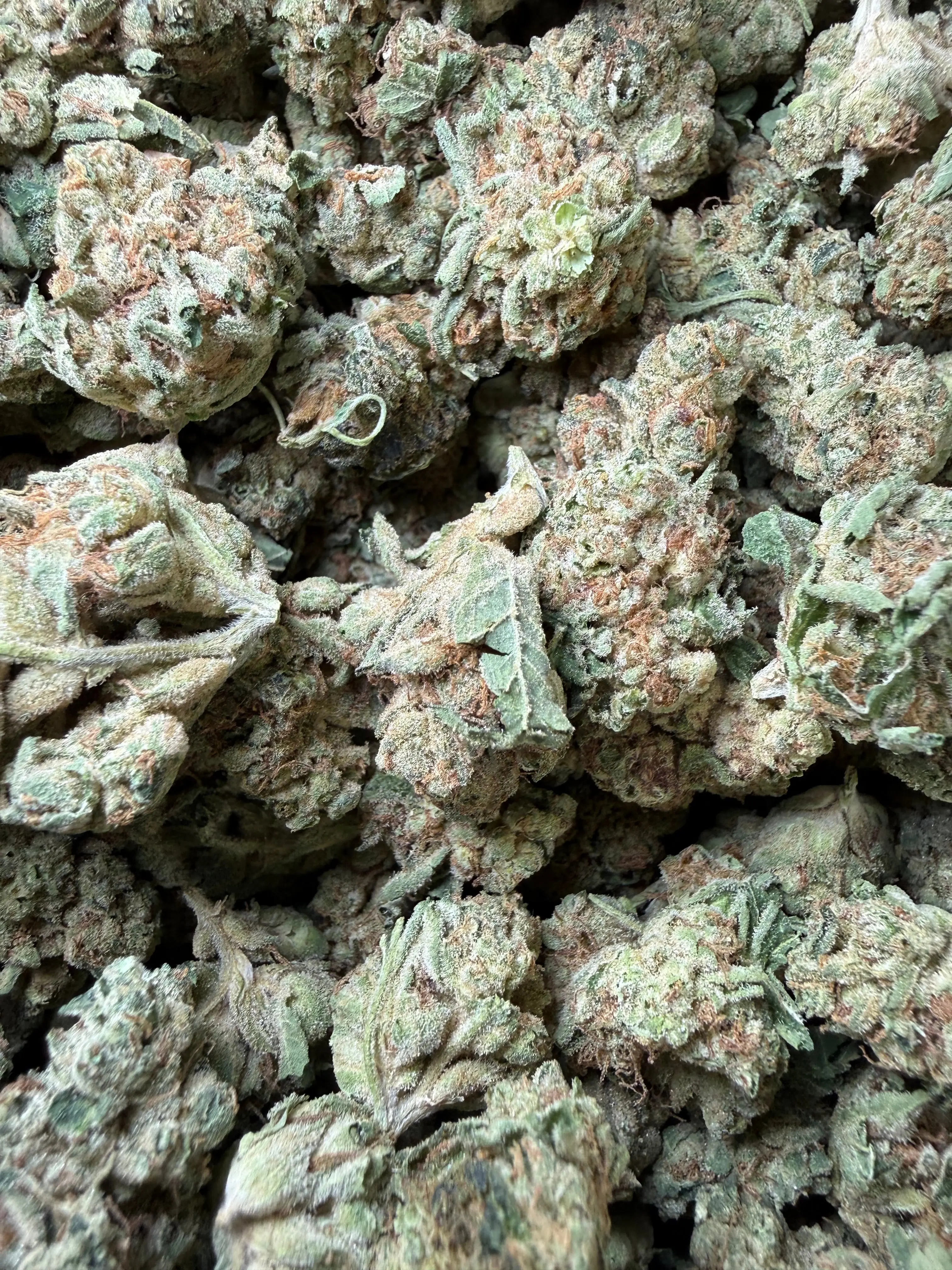 1 Pound -  Melted Banana Berry Strain (Smalls) - Image 3