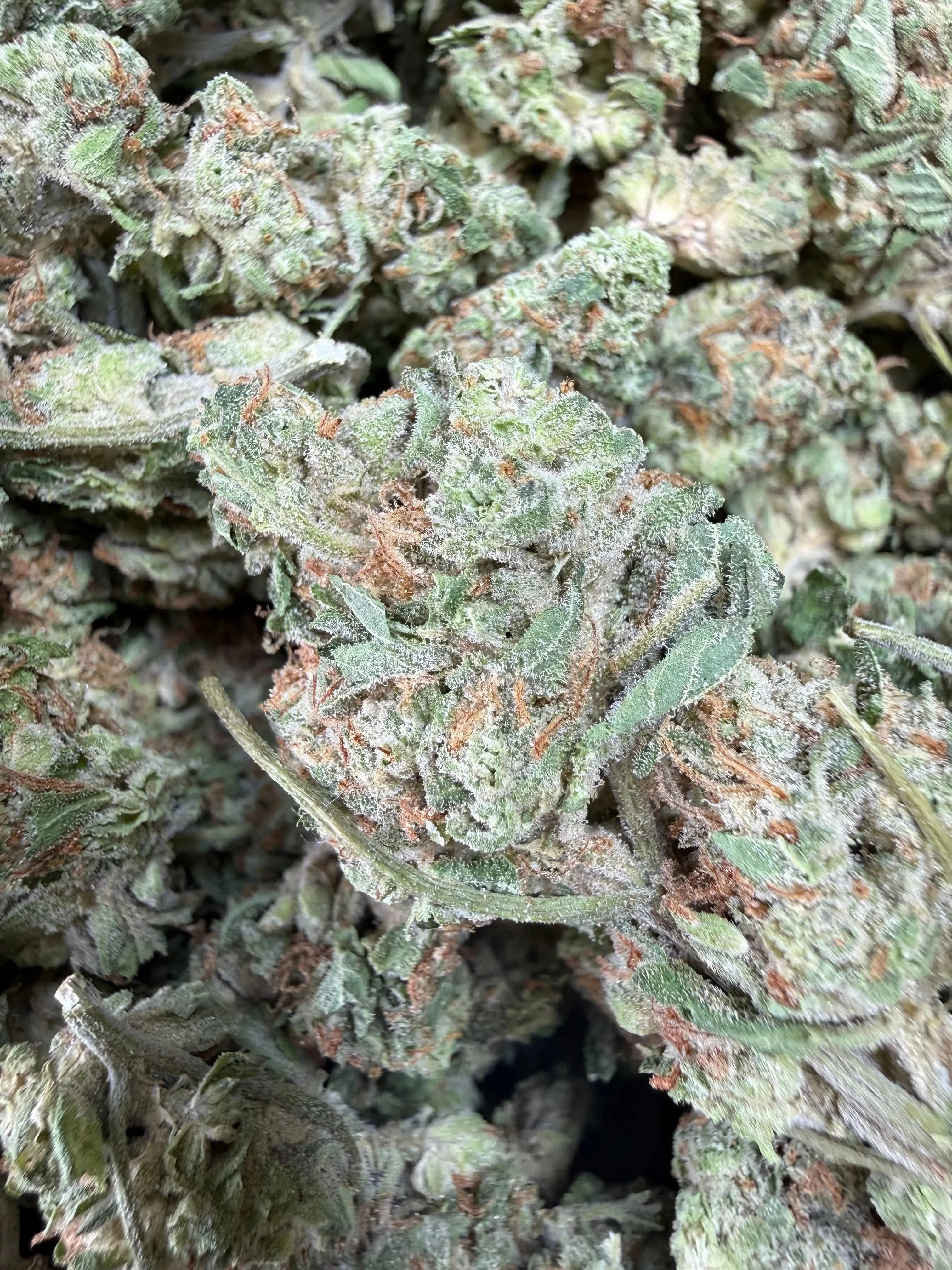 1 Pound - Midnight Fuel THCA Strain (Smalls) - Image 2