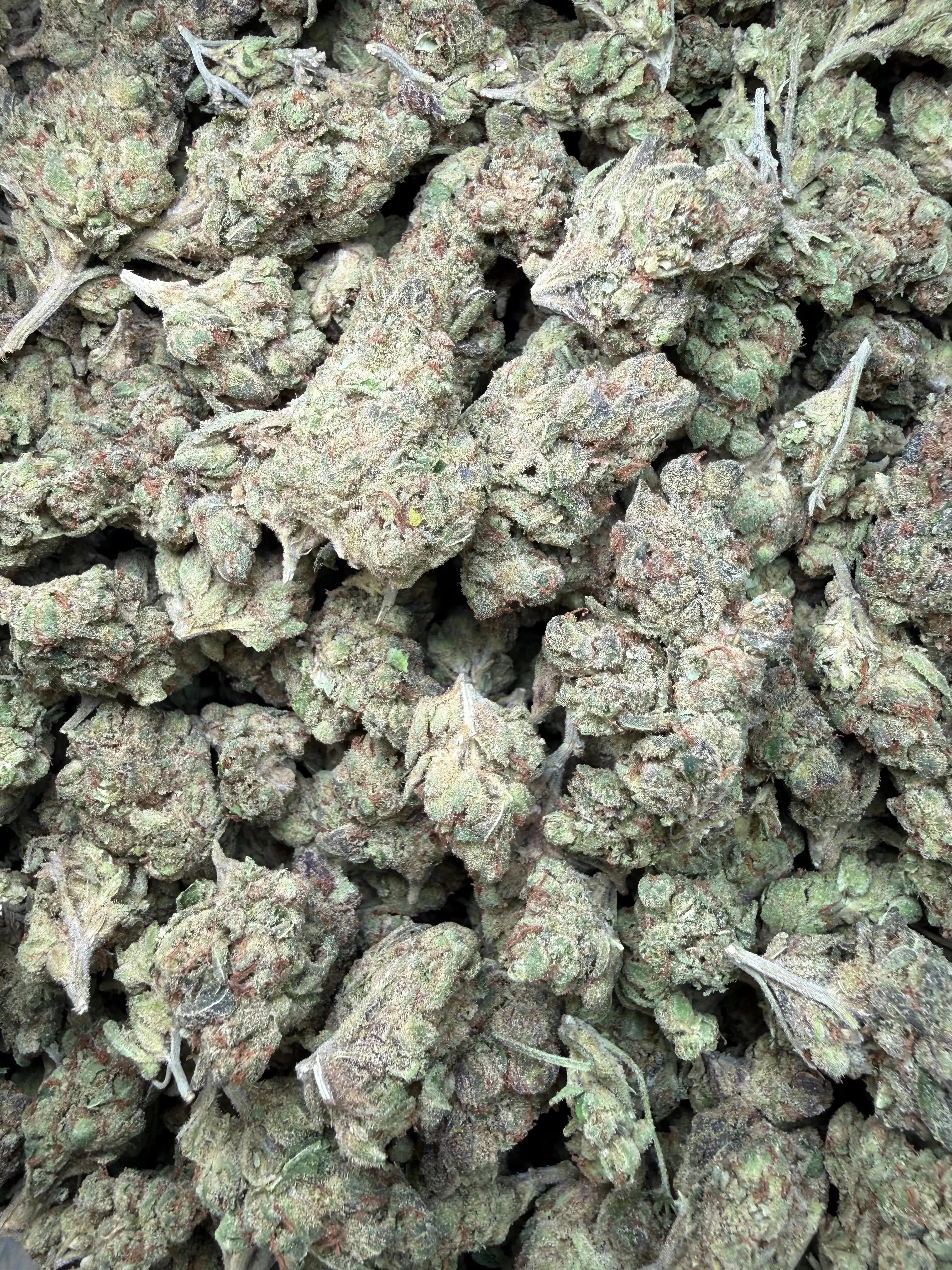 1 Pound - Pink Death Star THCA Flower - Image 4