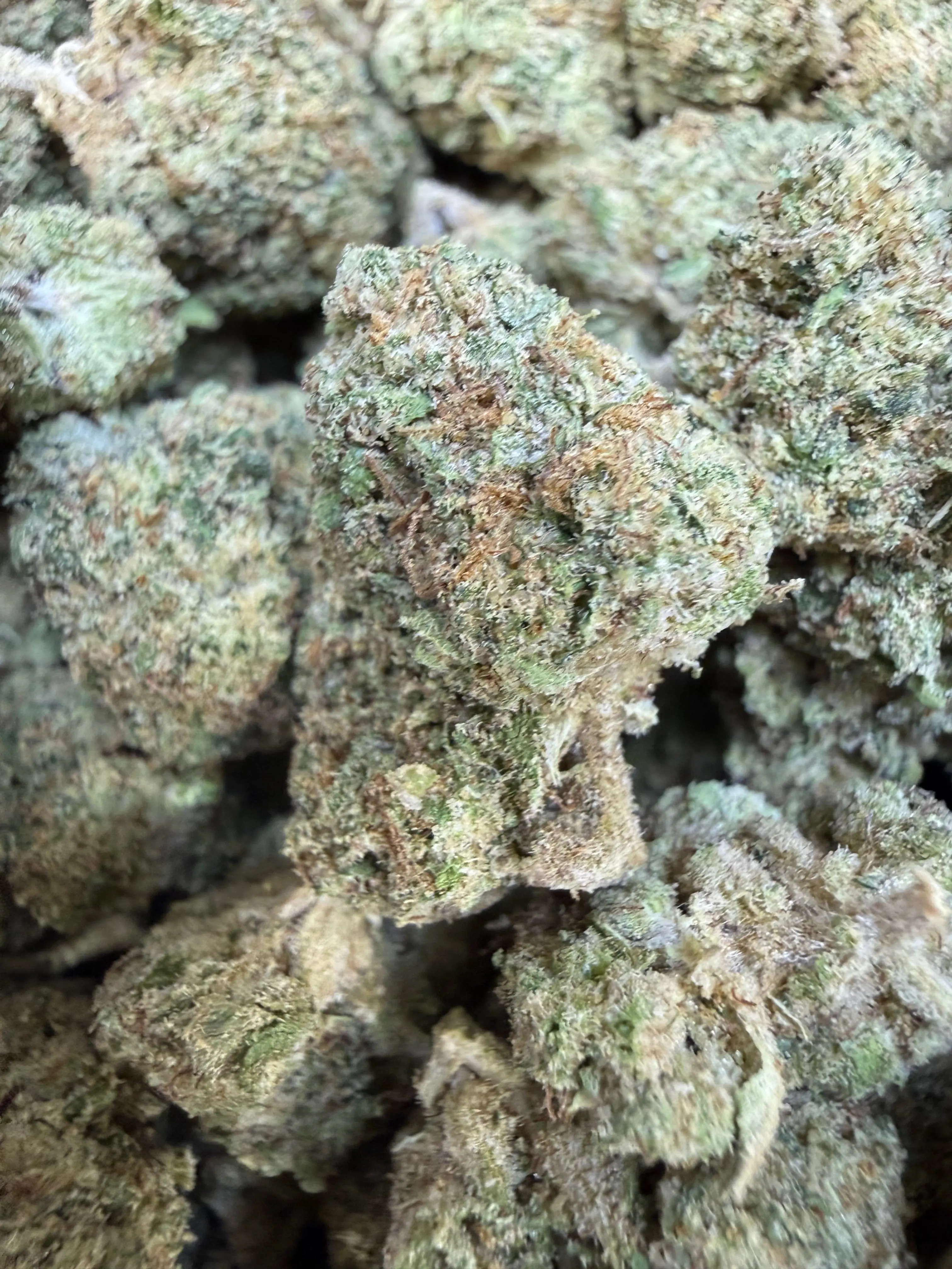 1 Pound - Pink Rozay THCA Strain