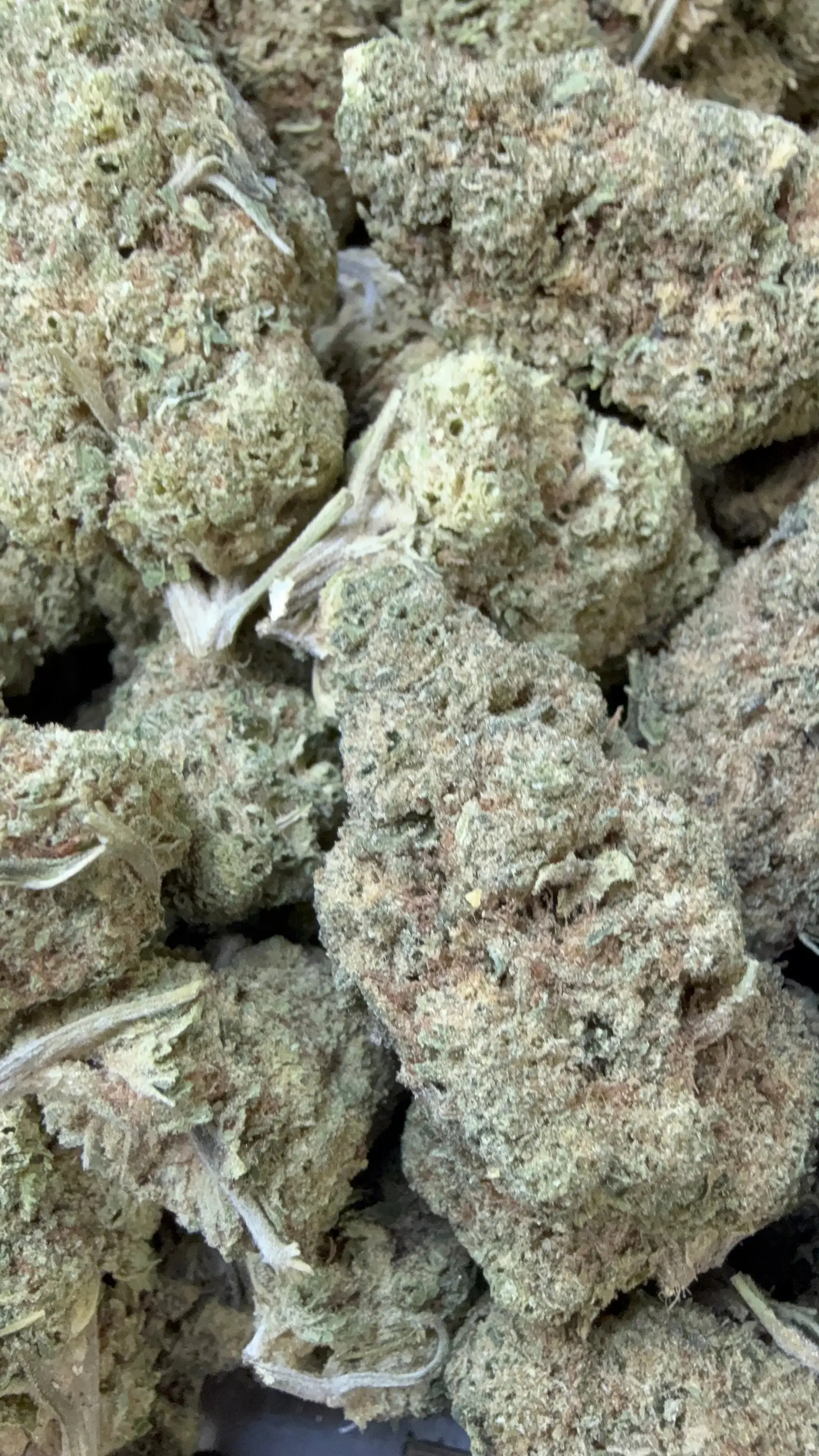 1 oz. Punch Breath THCA Flower | Premium Light Dep Indica-Dominant Hybrid - Image 3