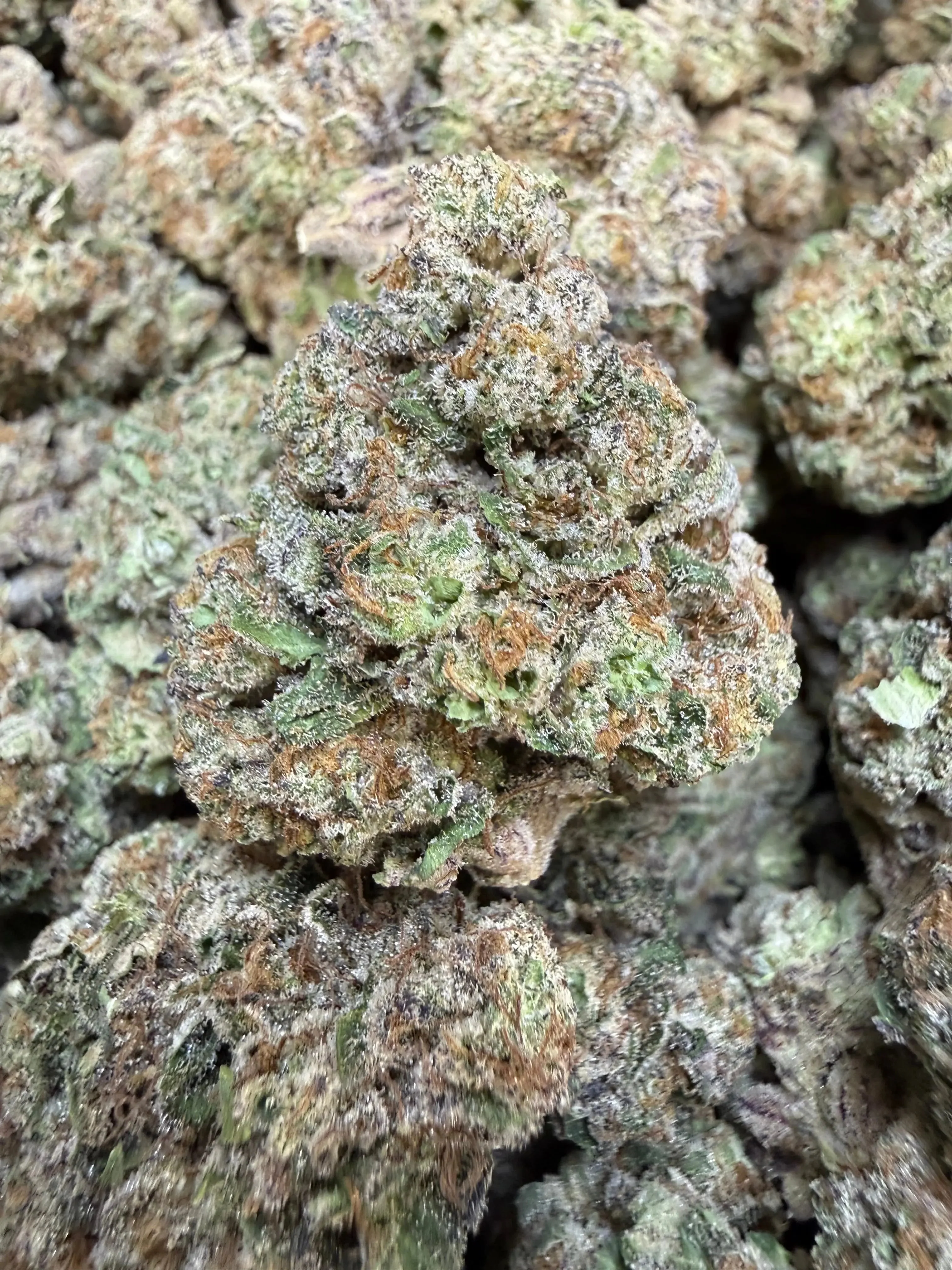 1 Pound - Purple Certz THCA Flower - Image 6