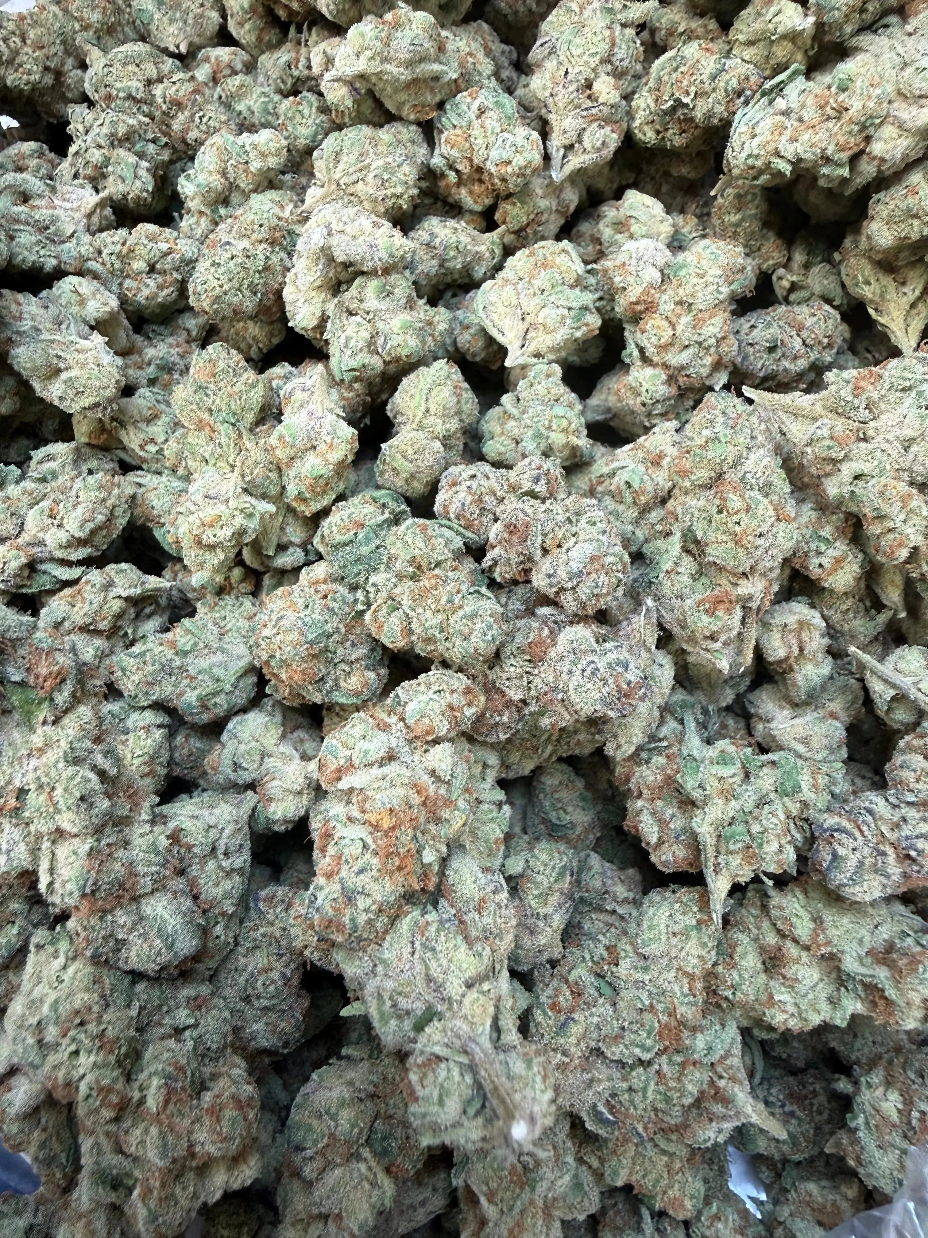 1 Pound - Purple Tesla THCA Strain - Image 4