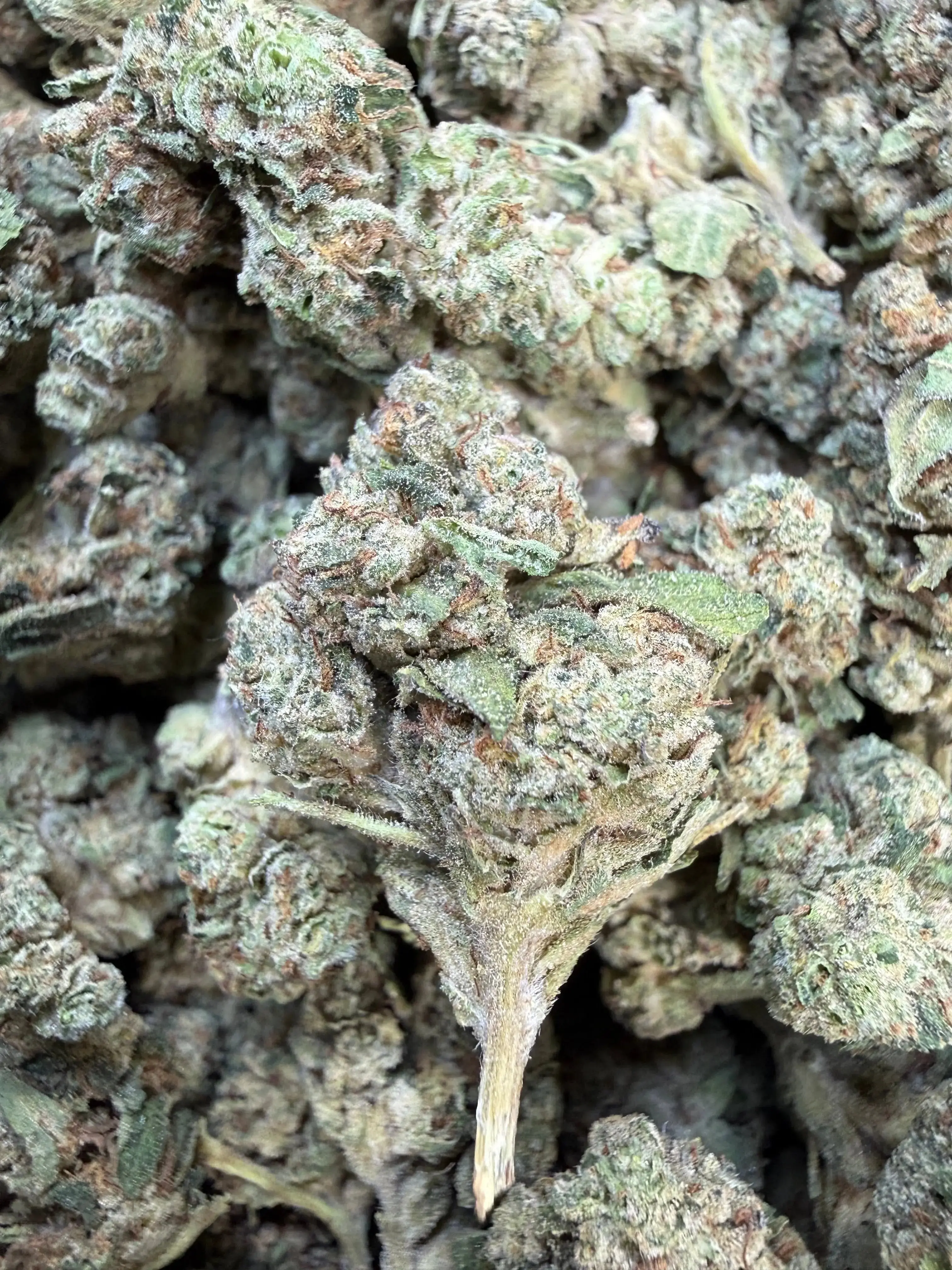 1 Pound - Slurricane THCA Flower - Image 3