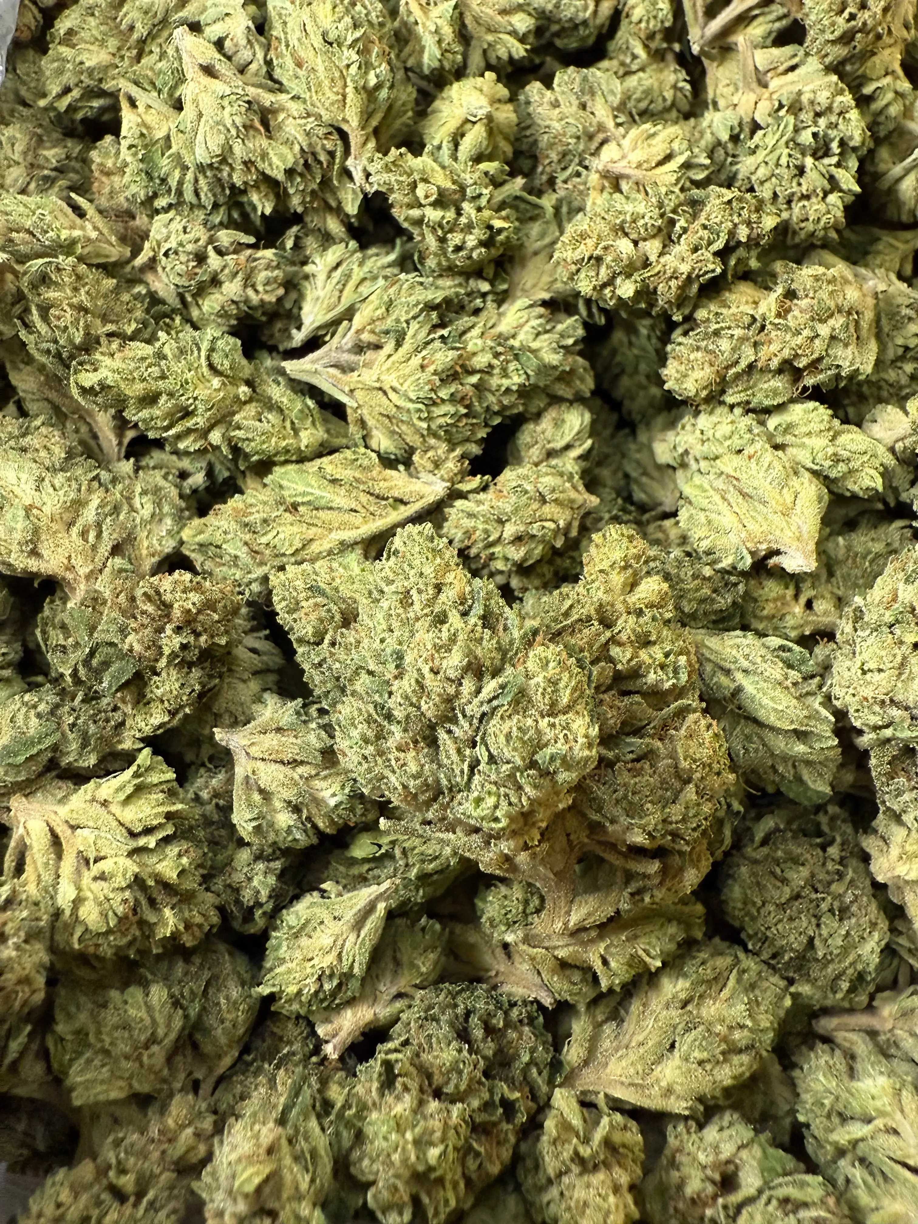 1 Pound - Sour Cheezel THCA Strain - Image 3