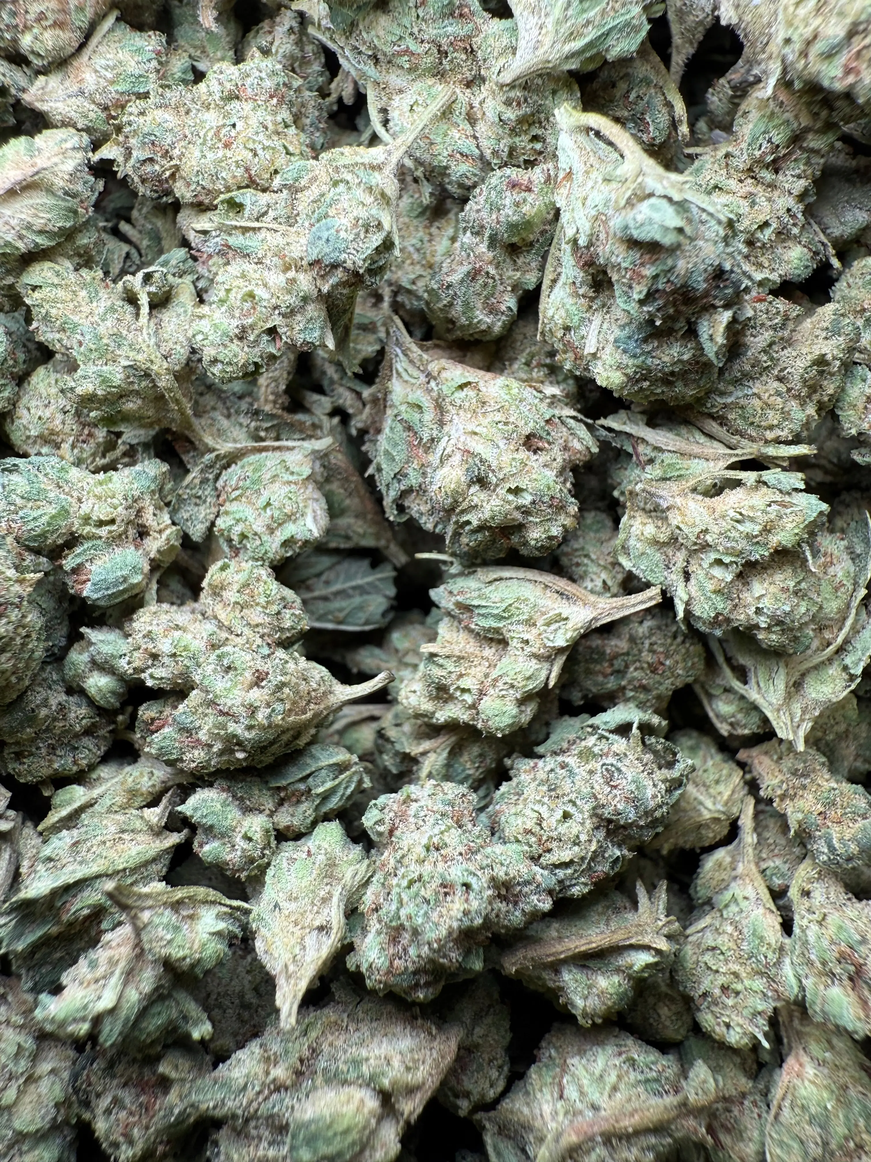 1 Pound - Super Glue THCA Strain (Small) - Image 2