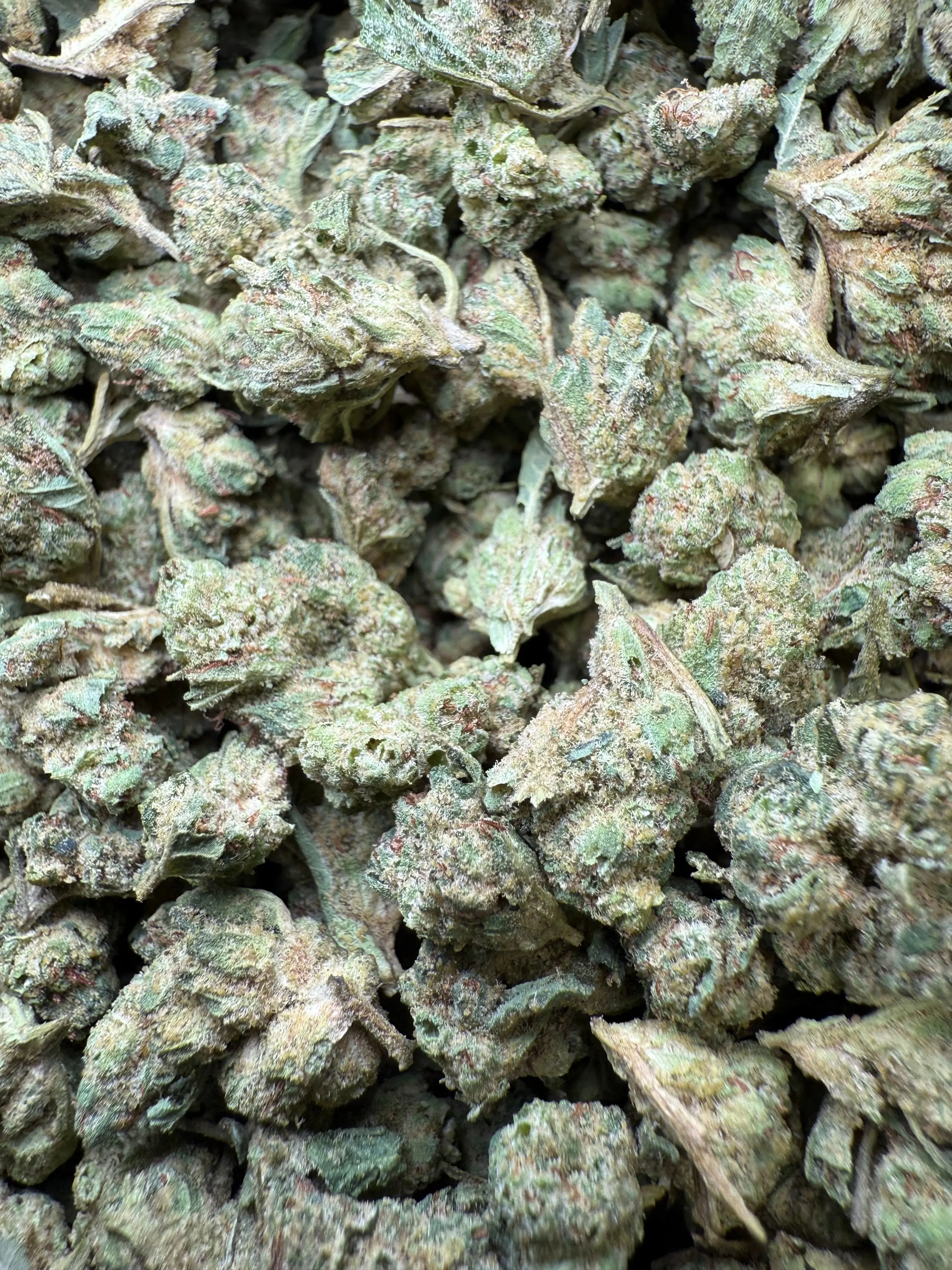 1 Pound - Super Glue THCA Strain (Small) - Image 3