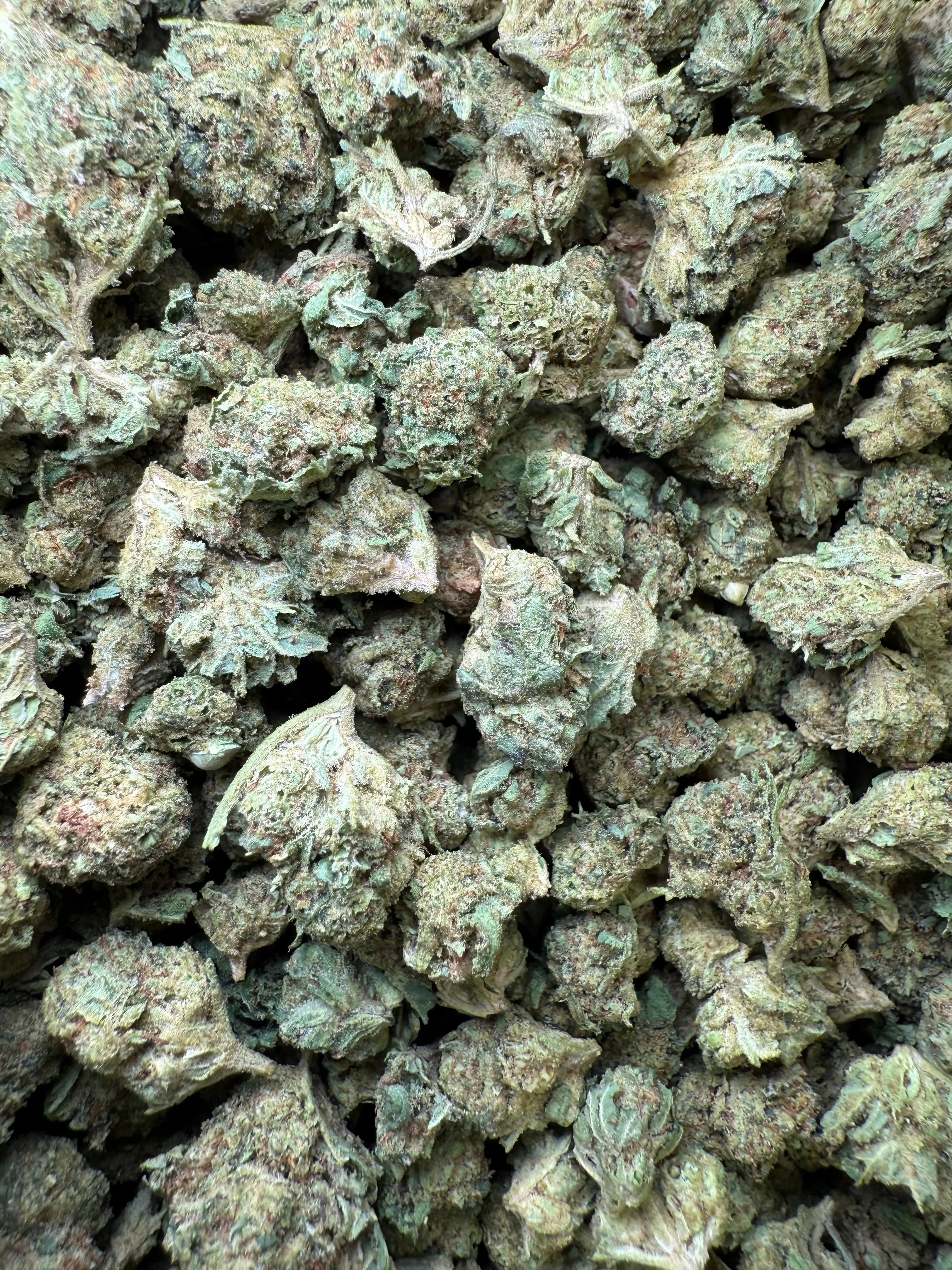 1 Pound - Venom OG THCA Strain (Smalls) - Image 3