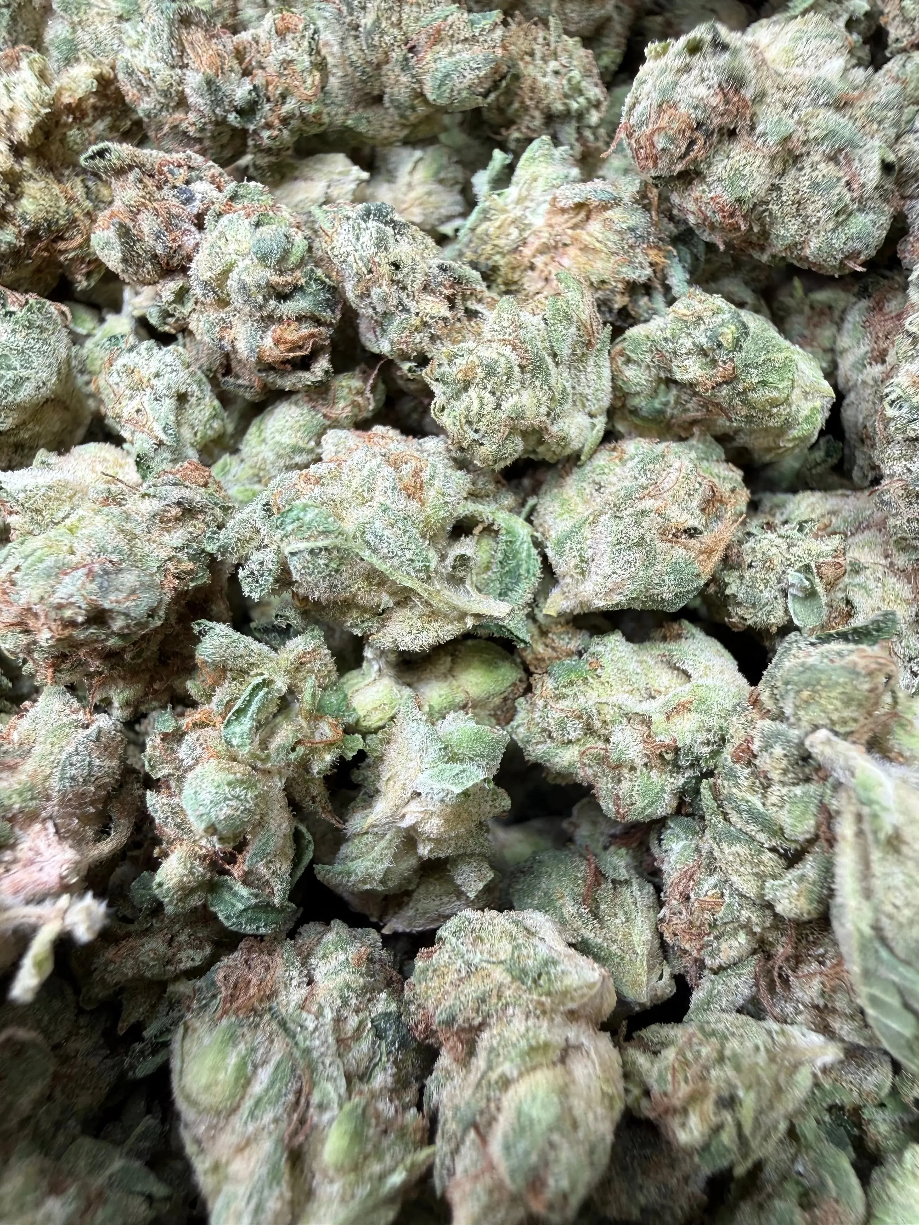 1 Pound - Wedding Cake THCA Strain (Small) - Image 2