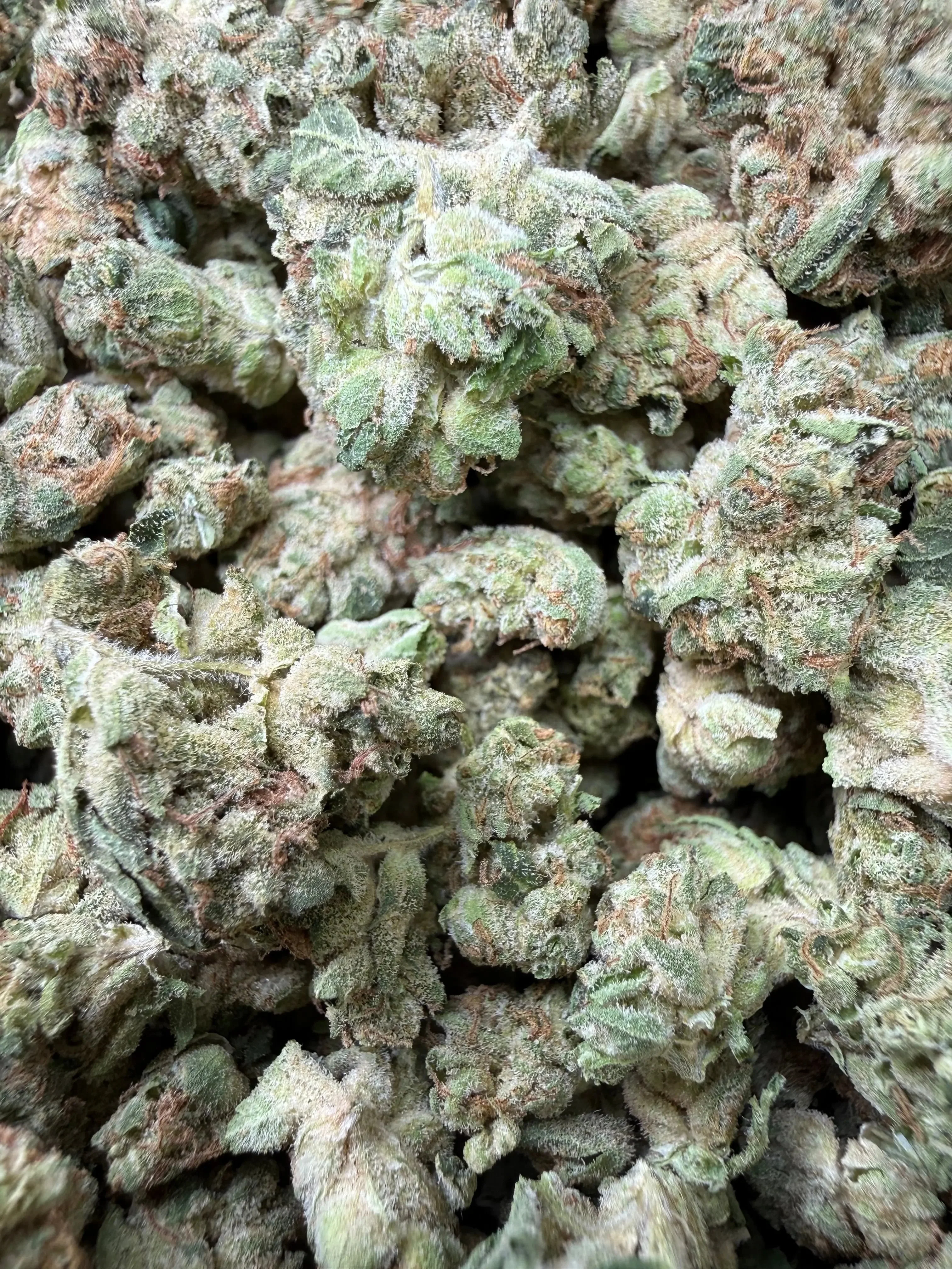 1 Pound - Wedding Cake THCA Strain (Small) - Image 3