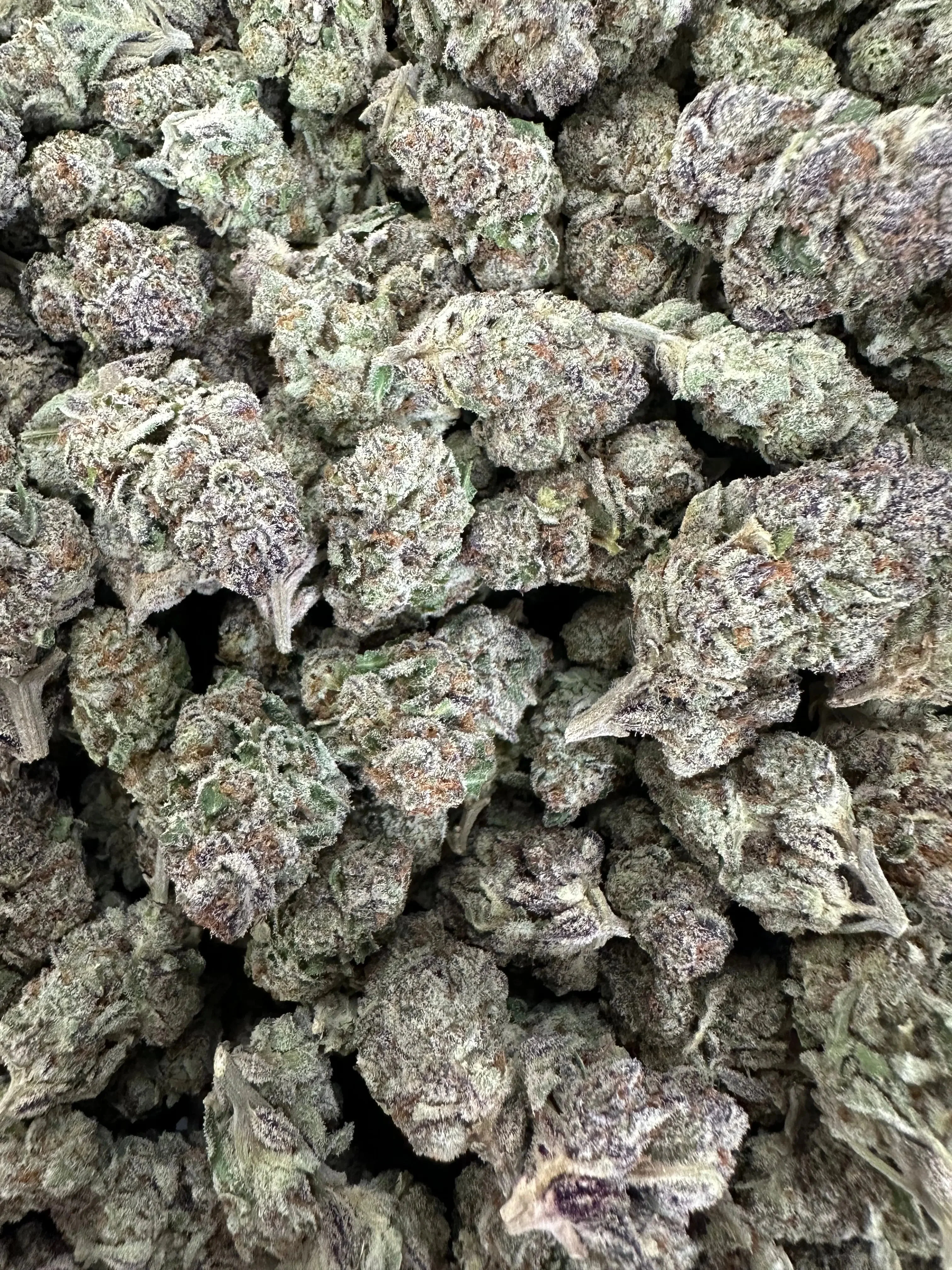 Frisco Labs - Exotic Indoor Tropicanna THCA - Image 4