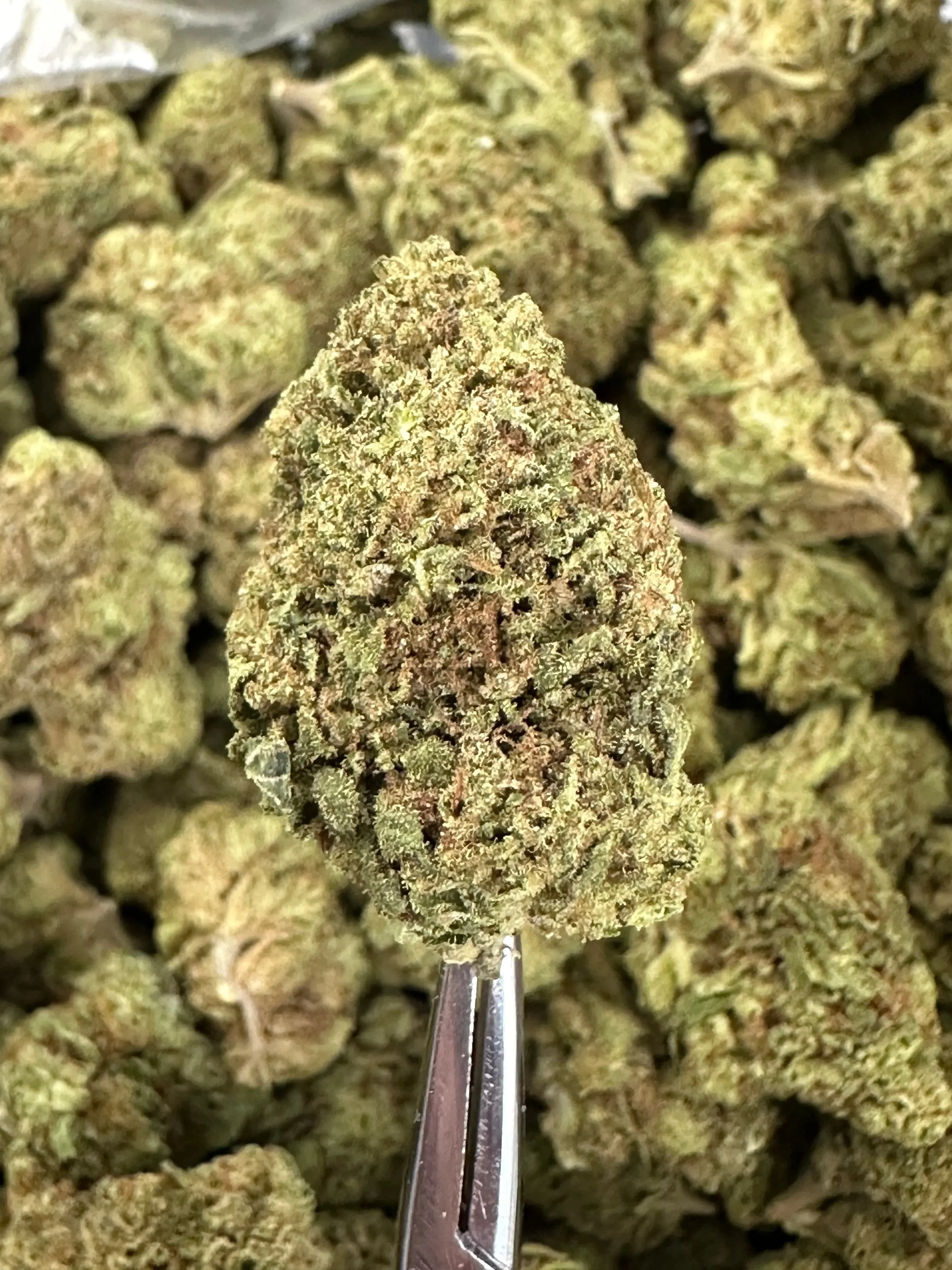 Frisco Labs - Acai Berry Gelato THCA Strain - Image 2