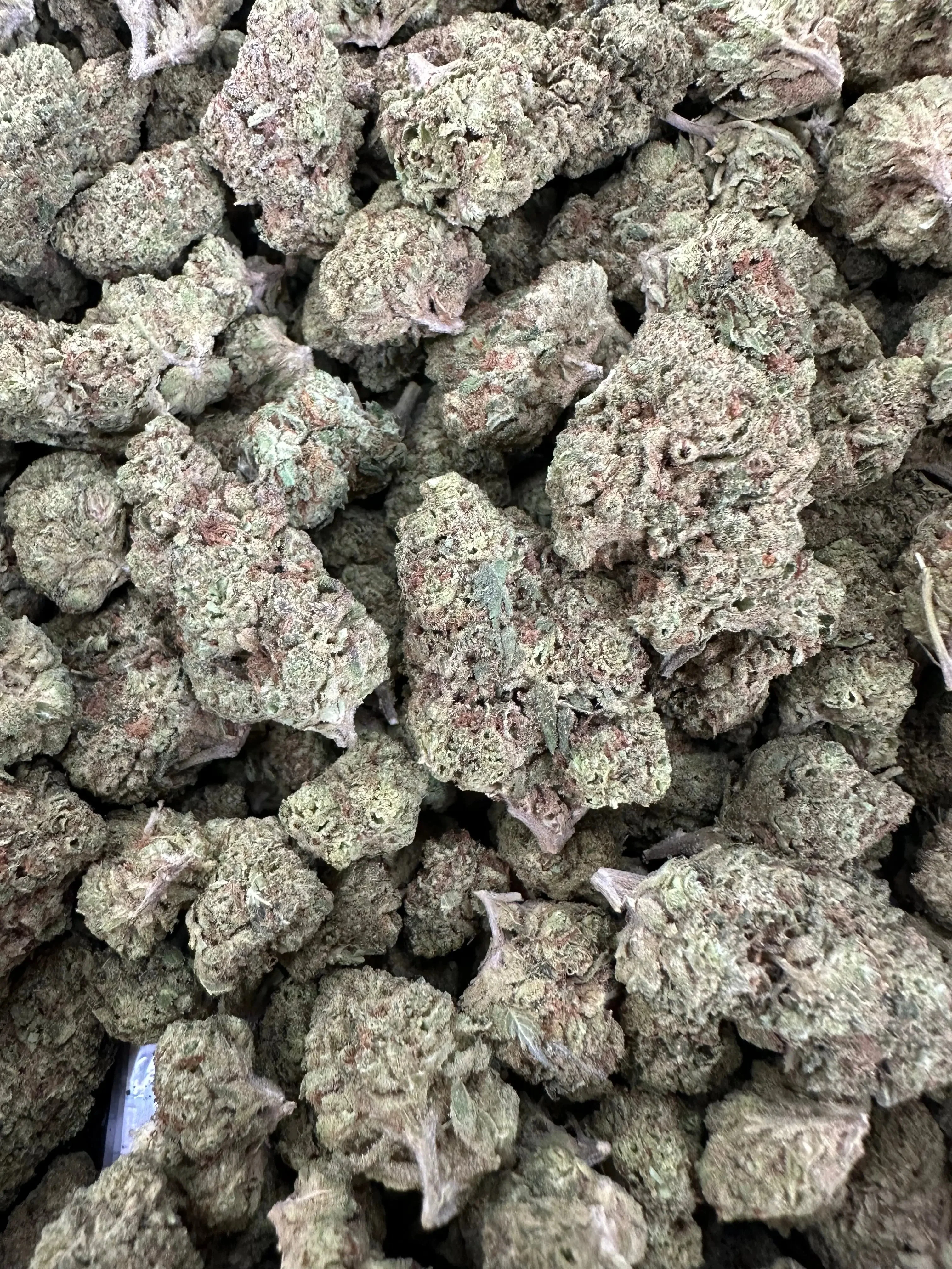 Frisco Labs - Acai Berry Gelato THCA Strain - Image 3