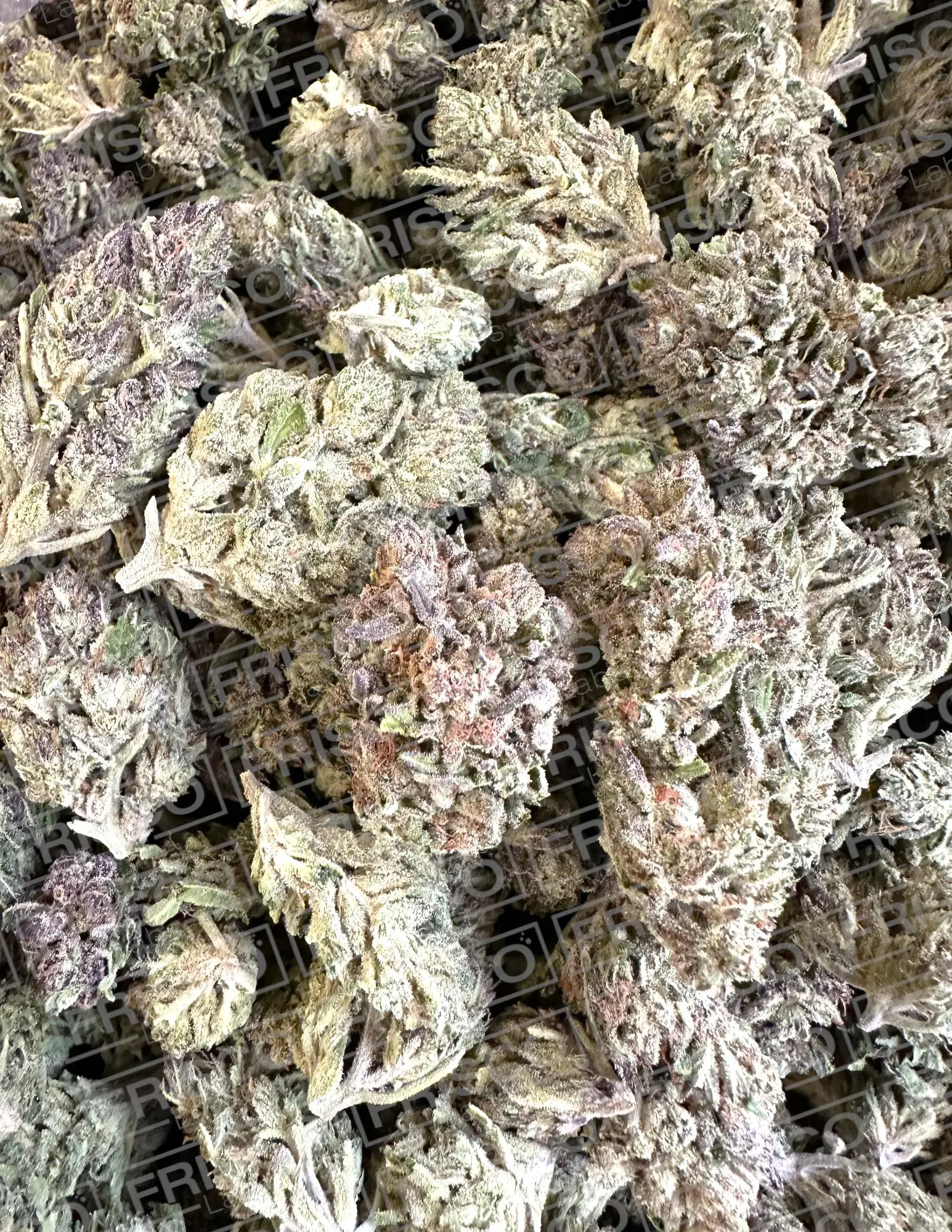 1 Pound - Exotic Apple Jacks THCA - Image 3