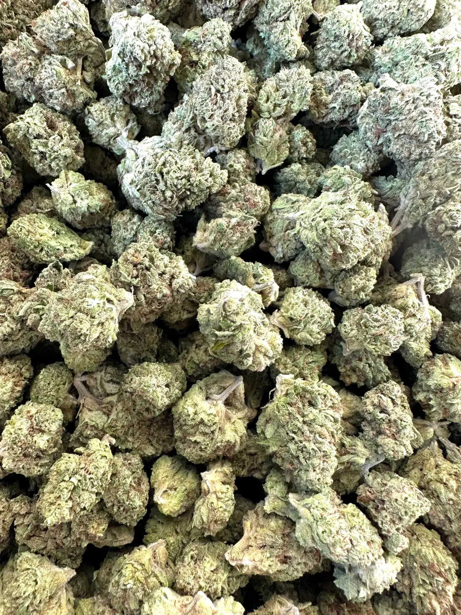 Frisco Labs - Exotic Cadillac Rainbow THCA Strain - Image 4