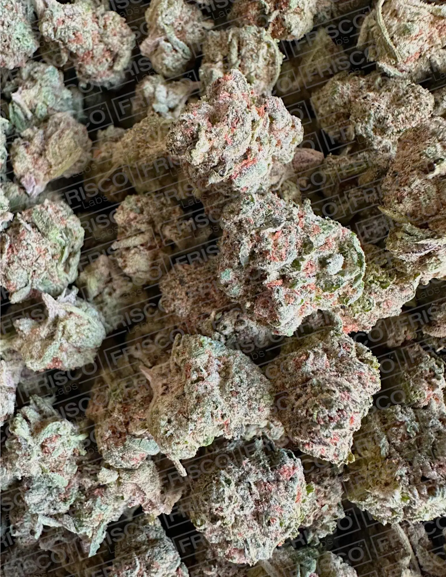 Frisco Labs - Exotic Grappling Pie THCA Strain - Image 2