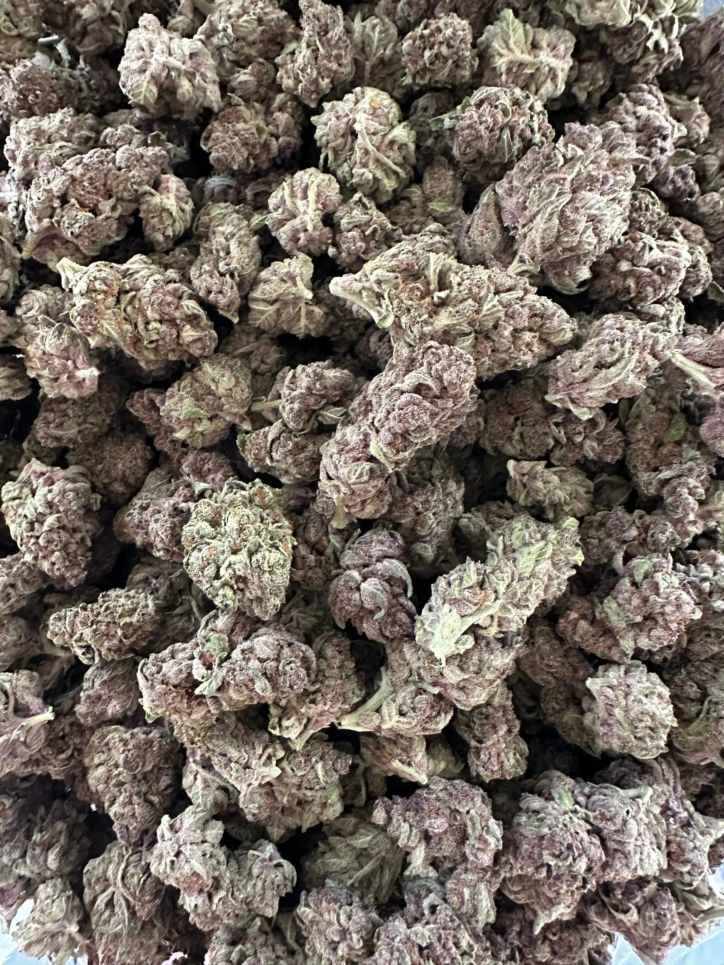 Frisco Labs - Exoti Tropicanna Cherry THCA - Image 5