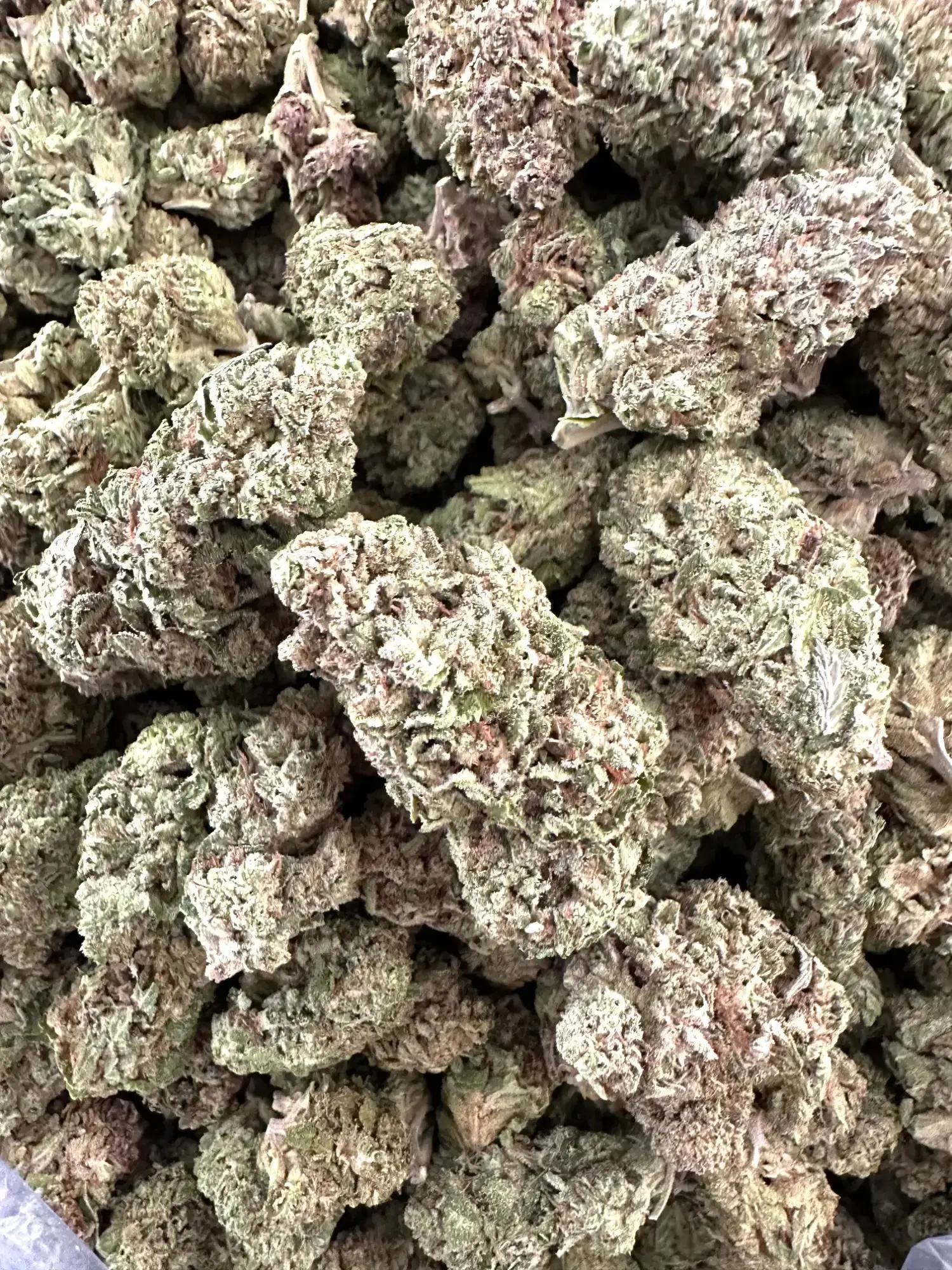 Frisco Labs - Exotic Wedding Crasher THCA Strain - Image 3