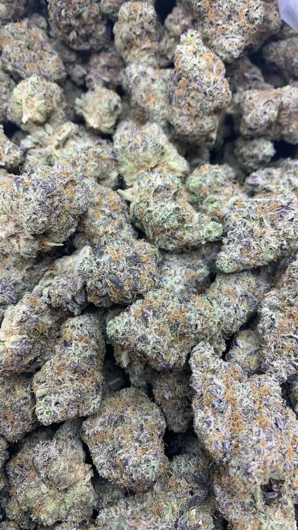 Frisco Labs - Indoor Exotic - Cookies And Cream THCA Strain - Image 5