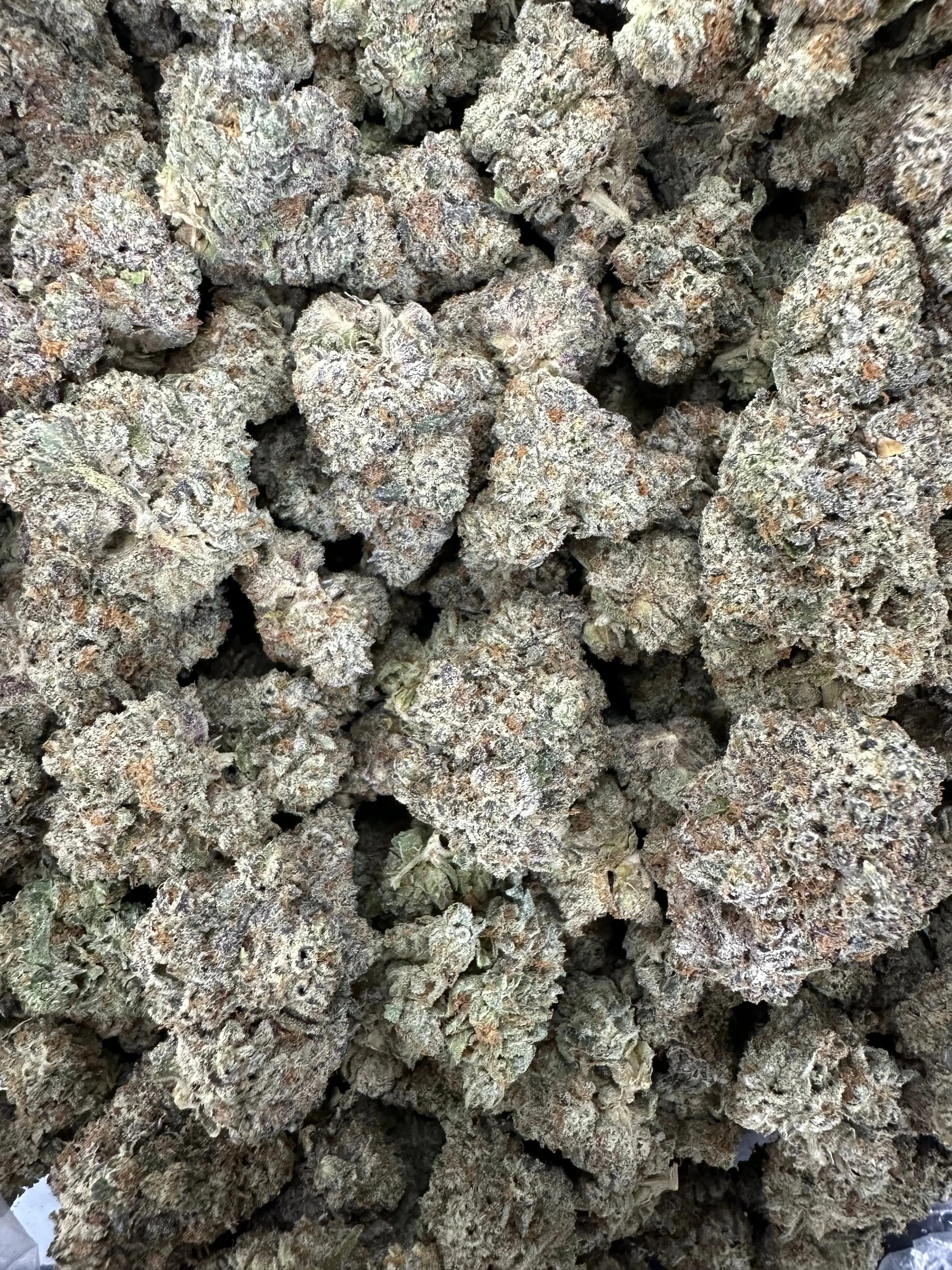 Frisco Labs - Indoor Exotic - Cookies And Cream THCA Strain - Image 6