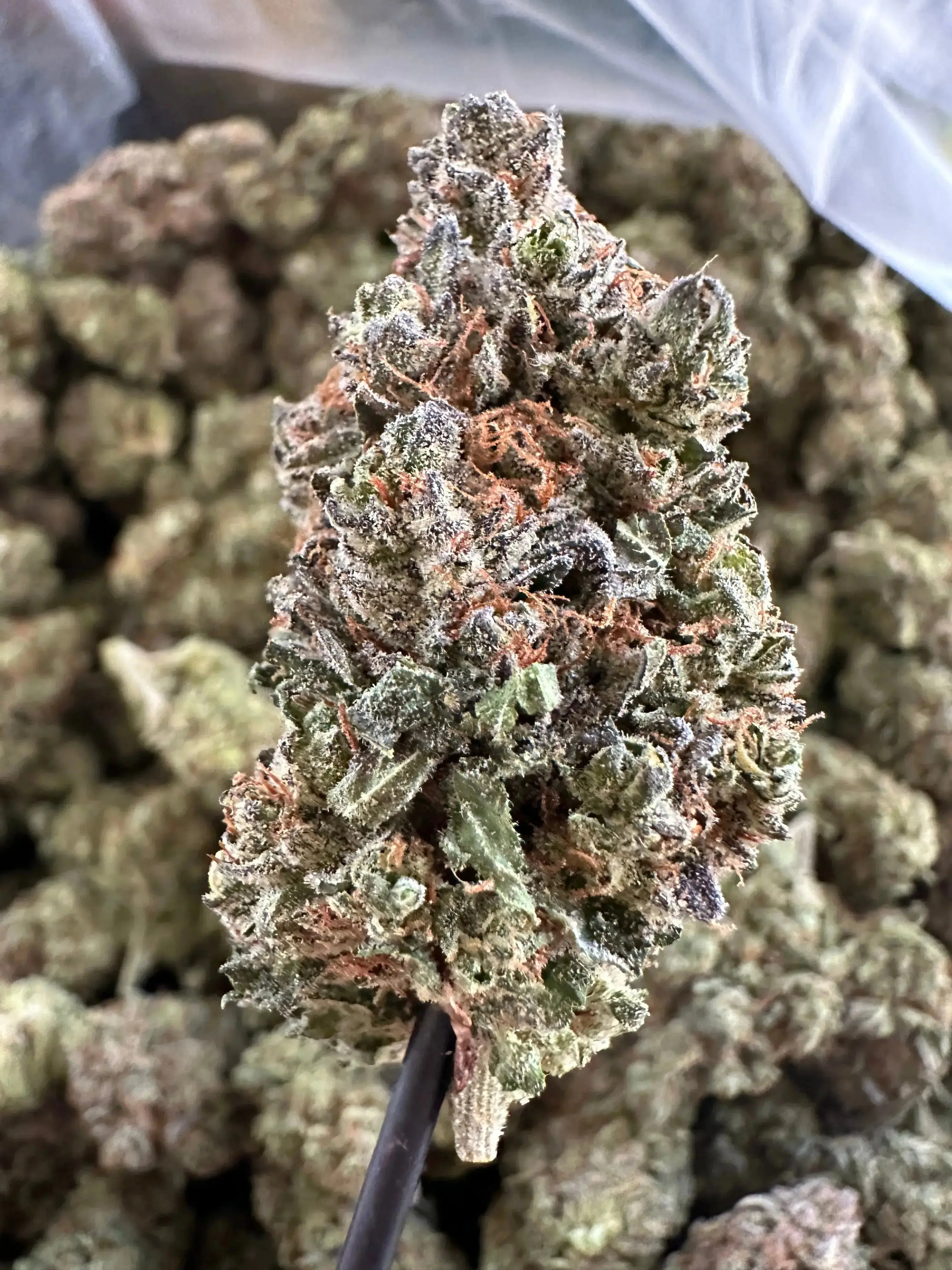 Exotic Pineapple Diesel THCA - 1 OZ - Image 4