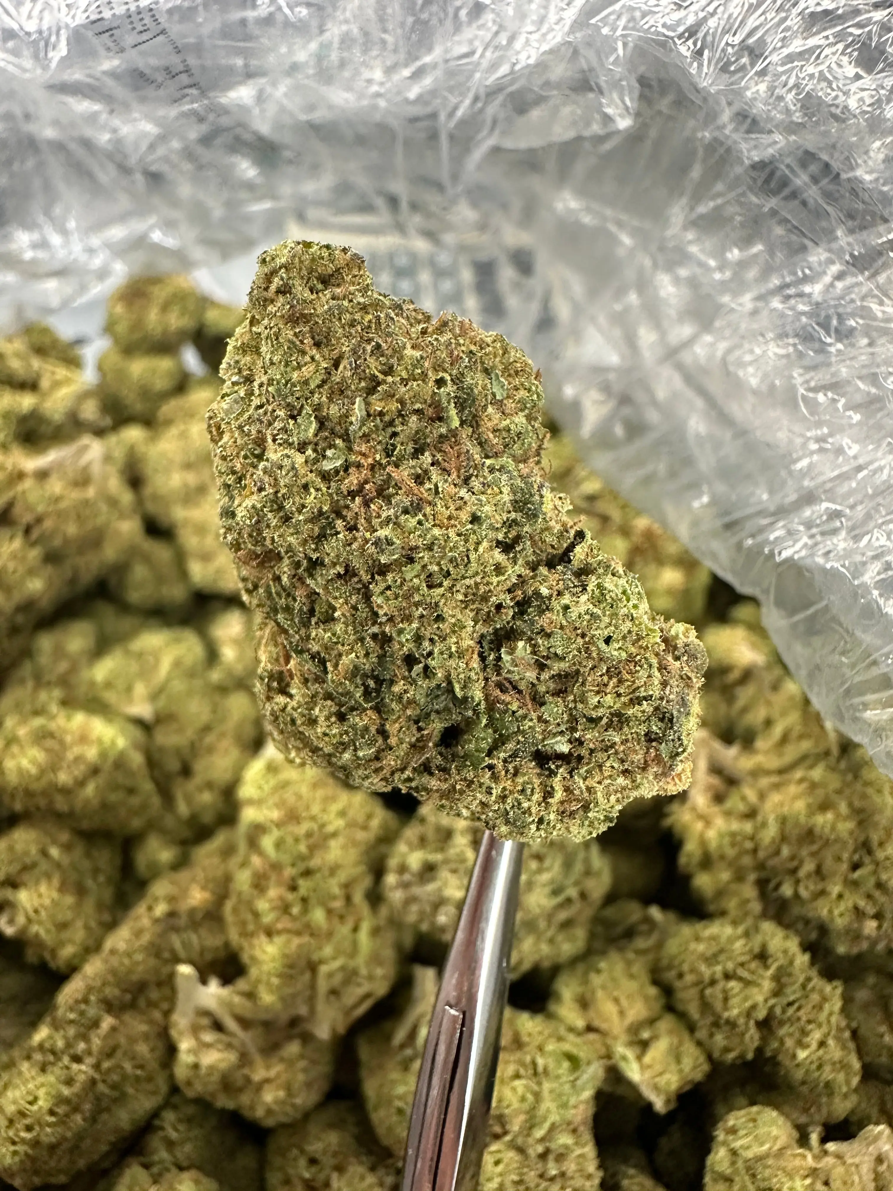 Frisco Labs - White Runtz Strain THCA - Image 2