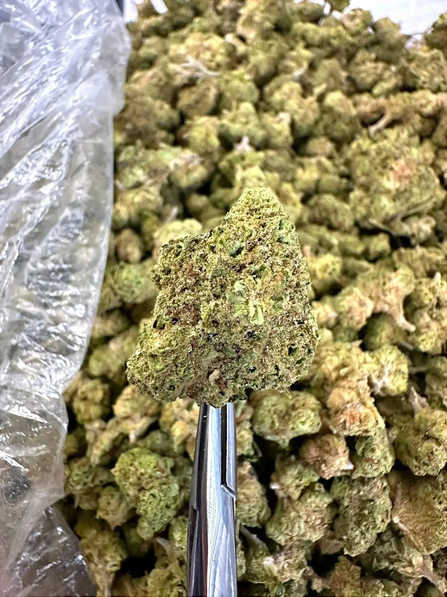 Frisco Labs - Pure Power Plant THCA - Image 2