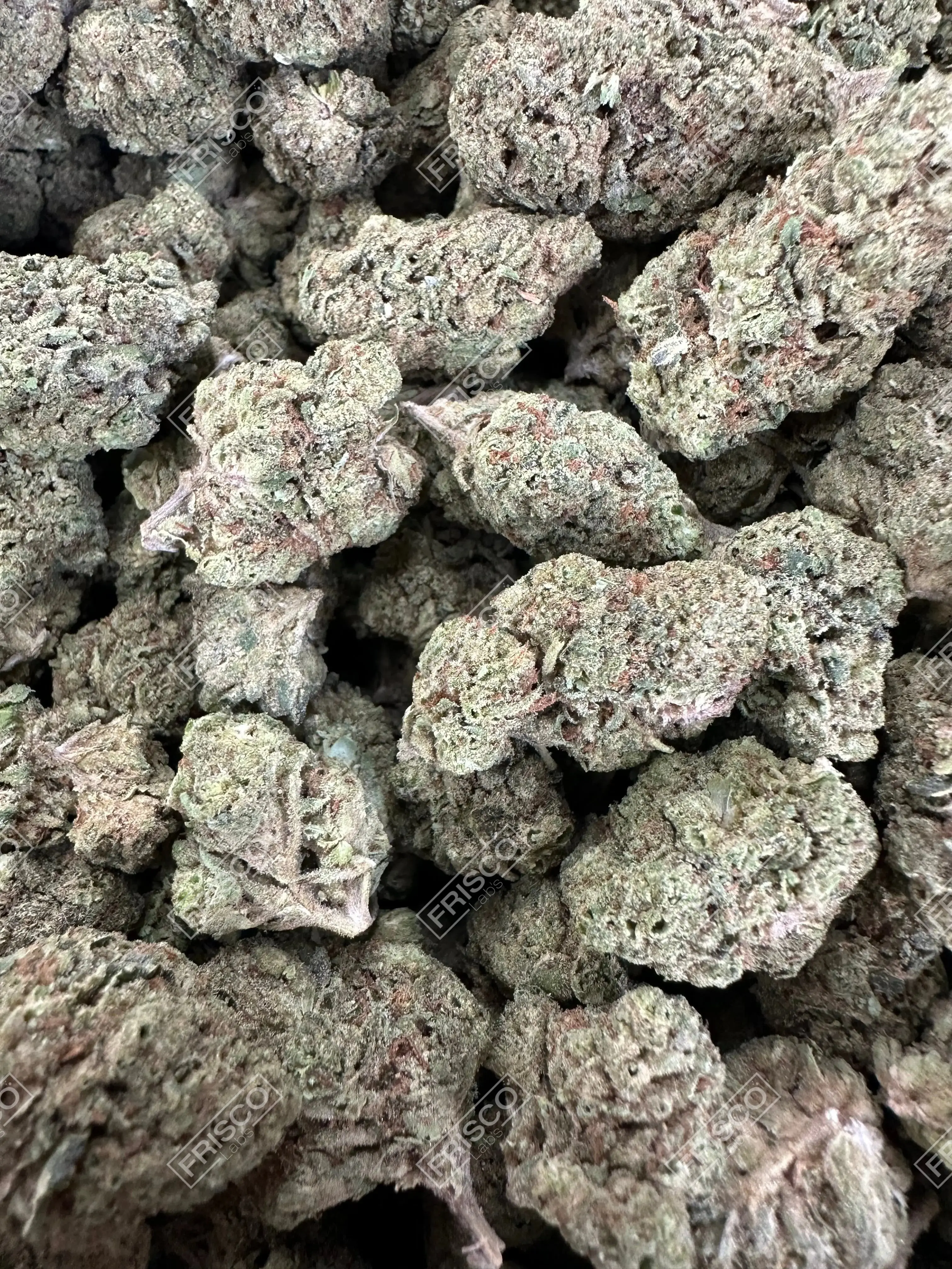 Frisco Labs - Sky Walker OG Strain THCA
