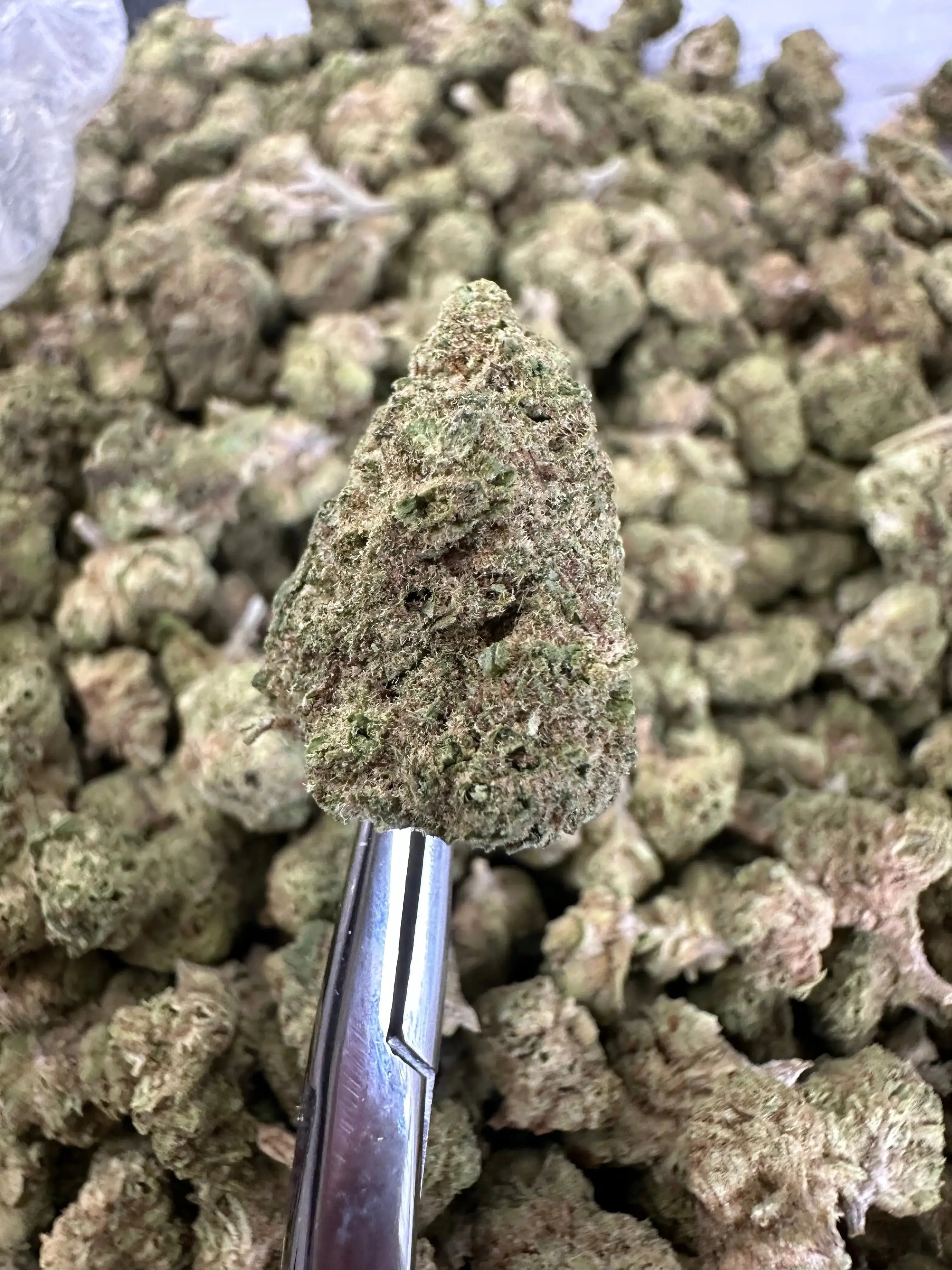 Frisco Labs - The Soap Strain THCA - Image 2