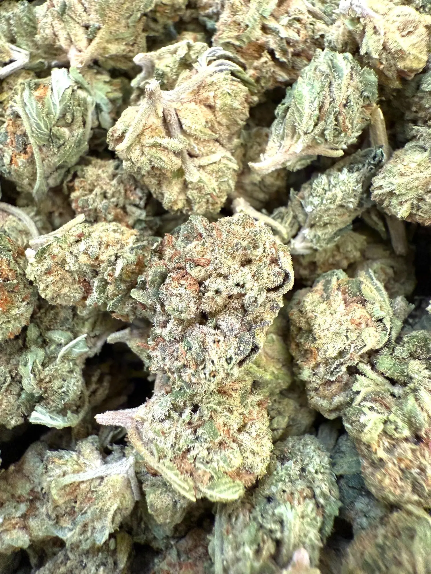 1 Pound - Gelato 41 THCA Smalls