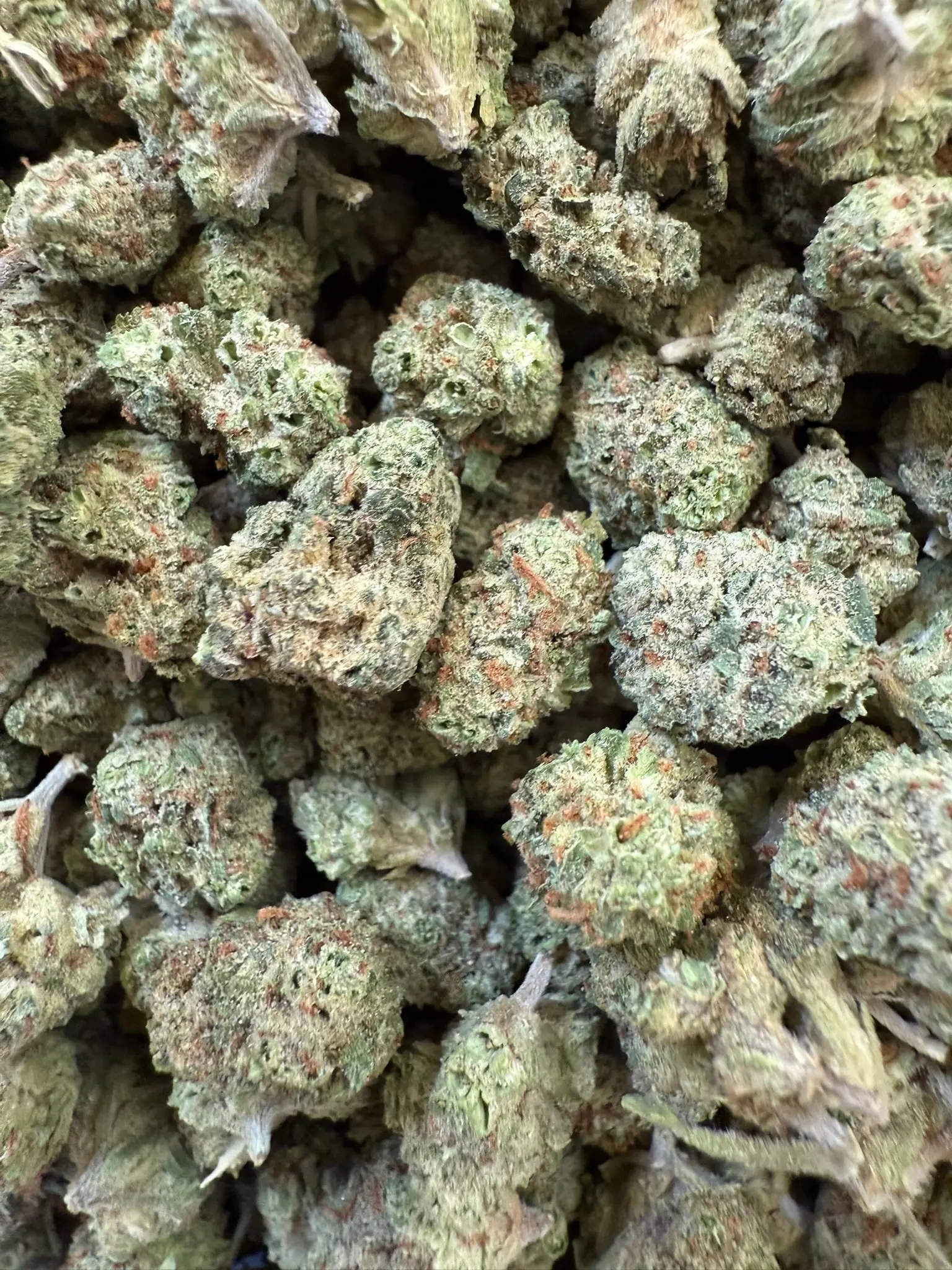 1 Pound - Gelato Punch THCA Smalls - Image 2