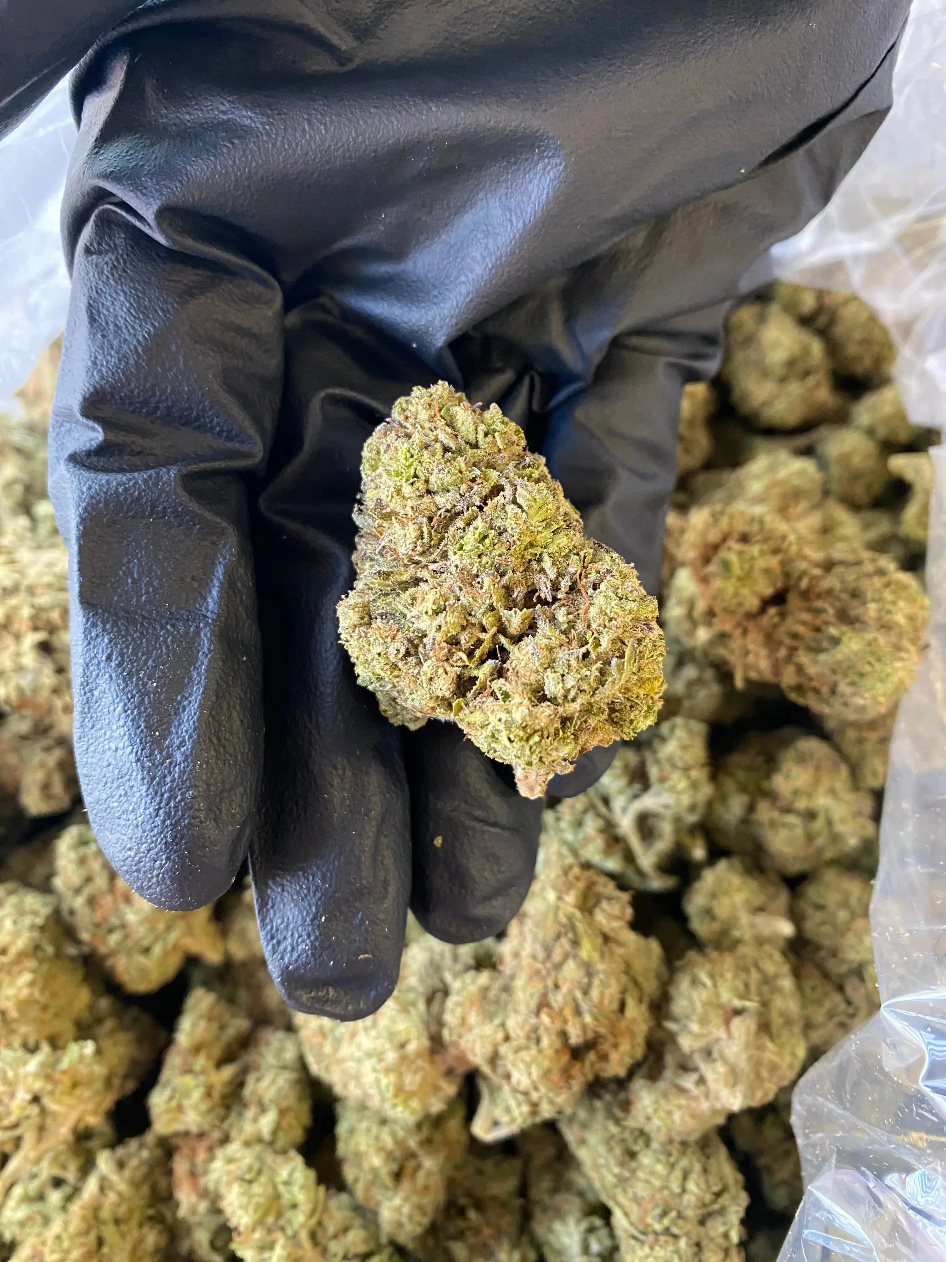 Grapefruit THCA - Image 2